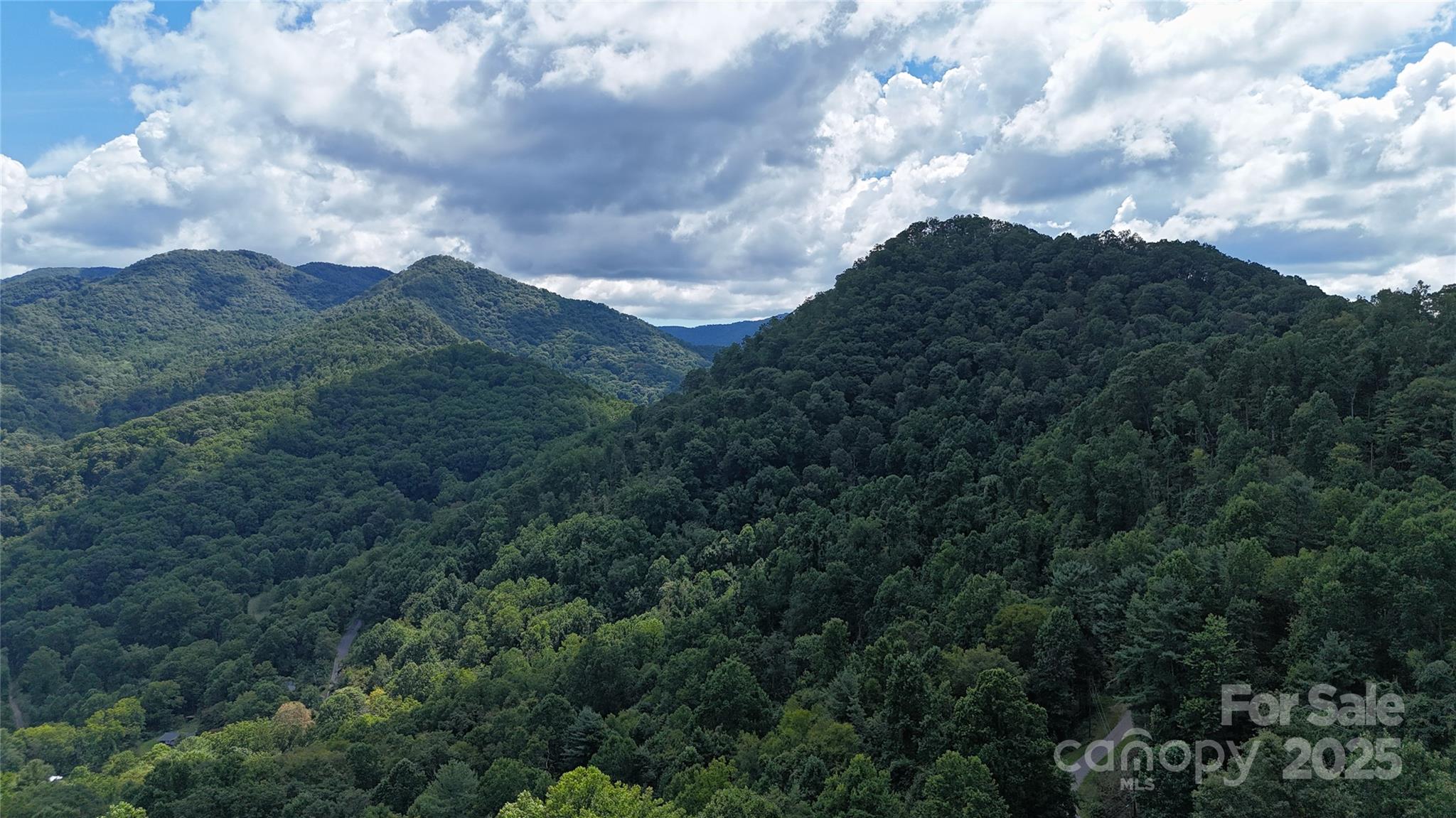 607 Rocky Top Trail Property Photo 9