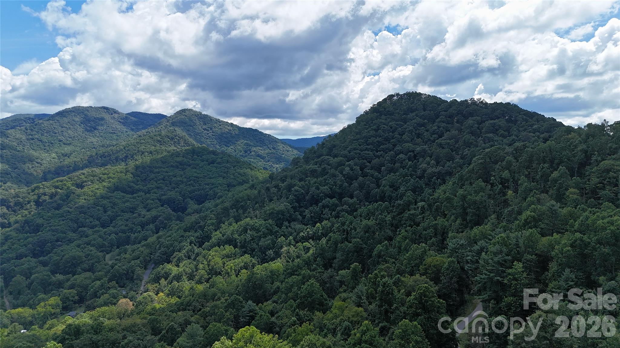 607 Rocky Top Trail Property Photo 9