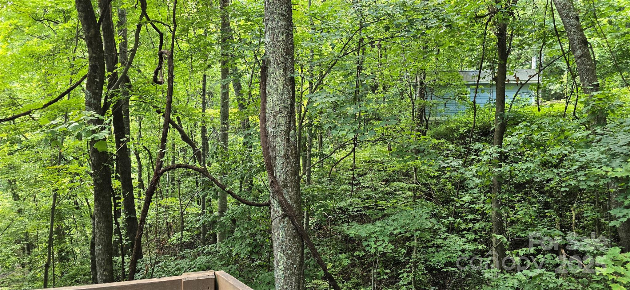 607 Rocky Top Trail Property Photo 42