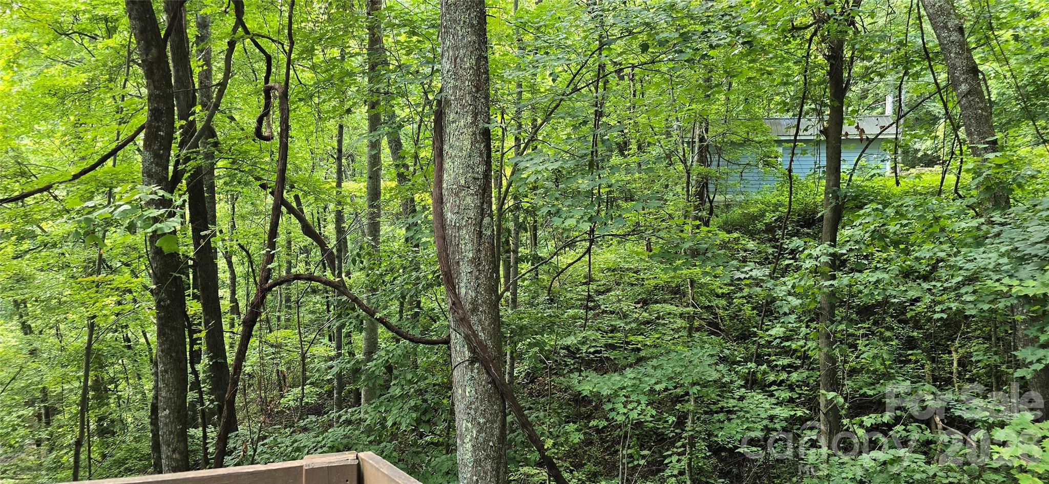 607 Rocky Top Trail Property Photo 42