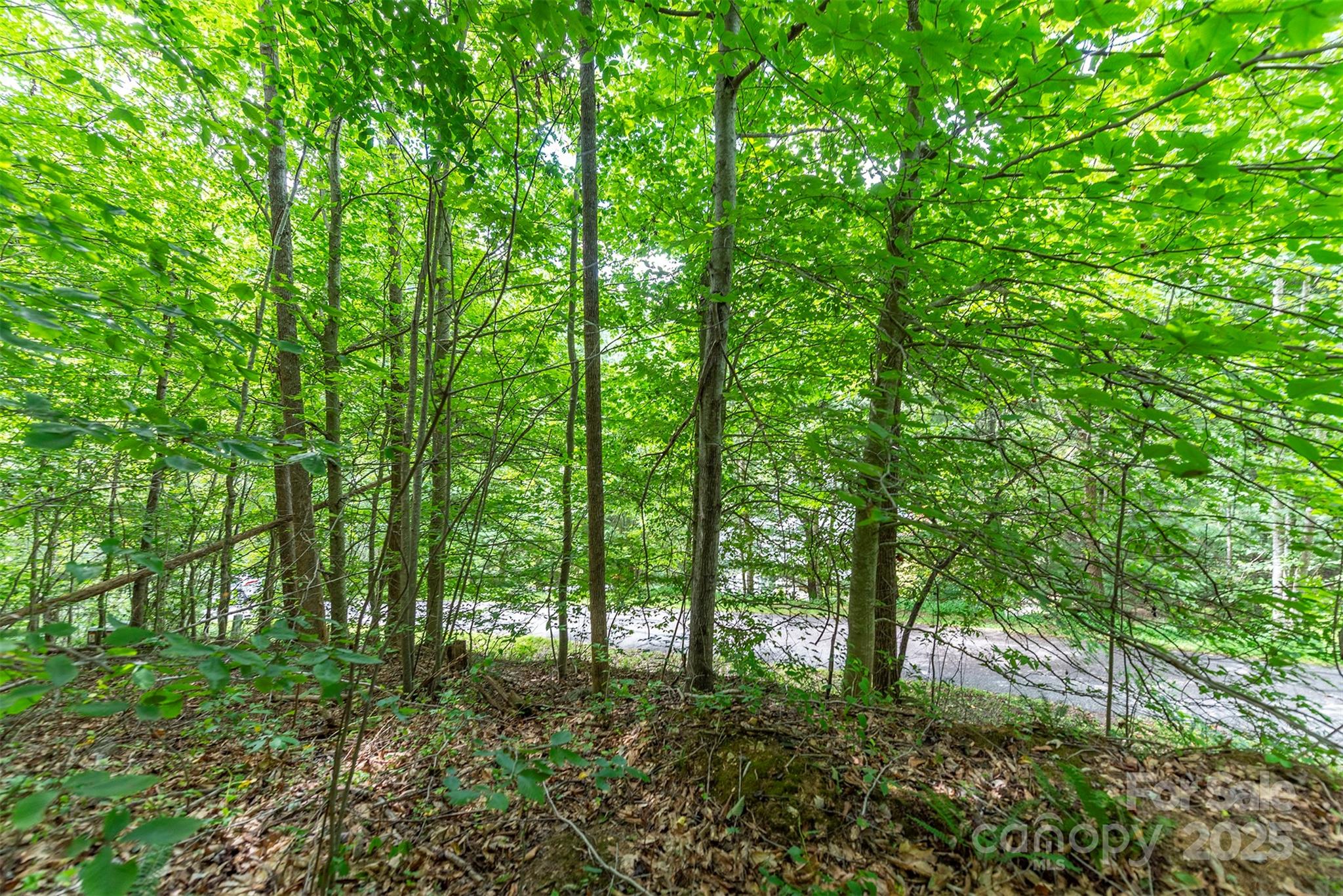 72 Applewood Lane 93 Property Photo 7