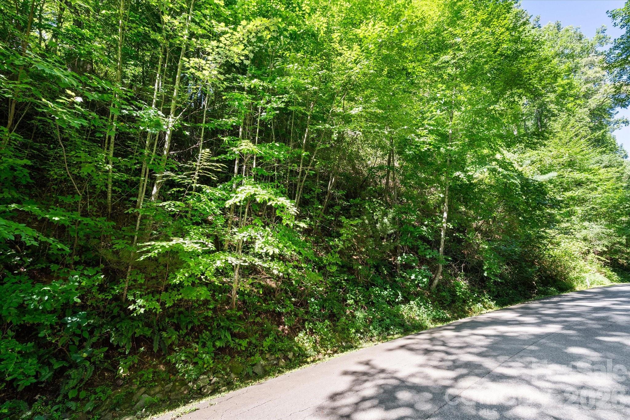 99999 Spy Rock Road Property Photo 11