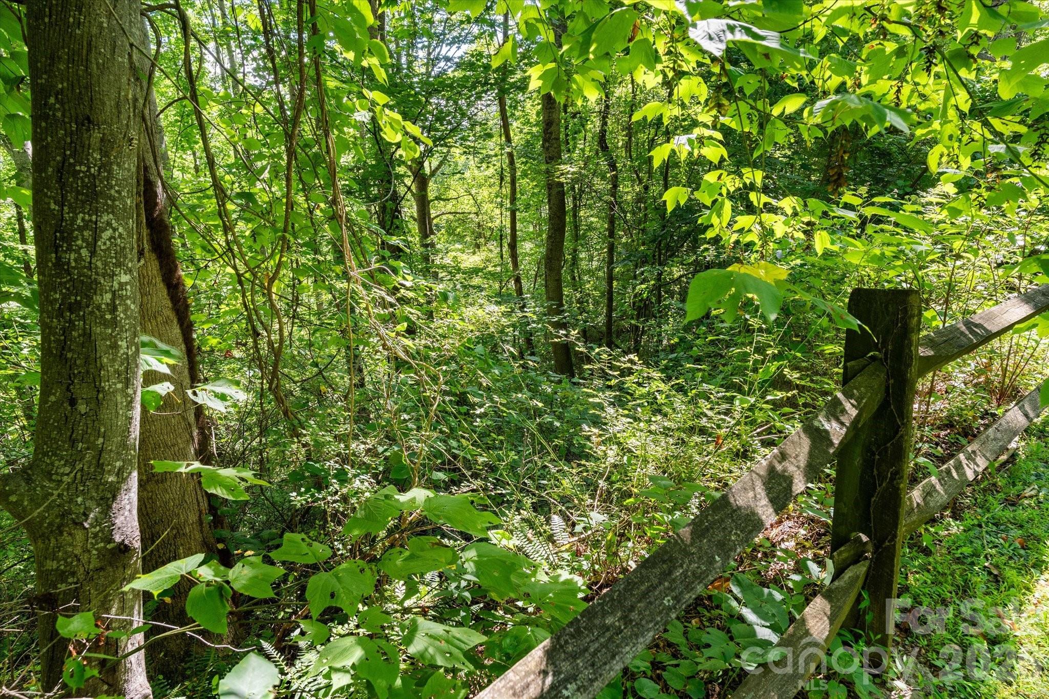 99999 Spy Rock Road Property Photo 12
