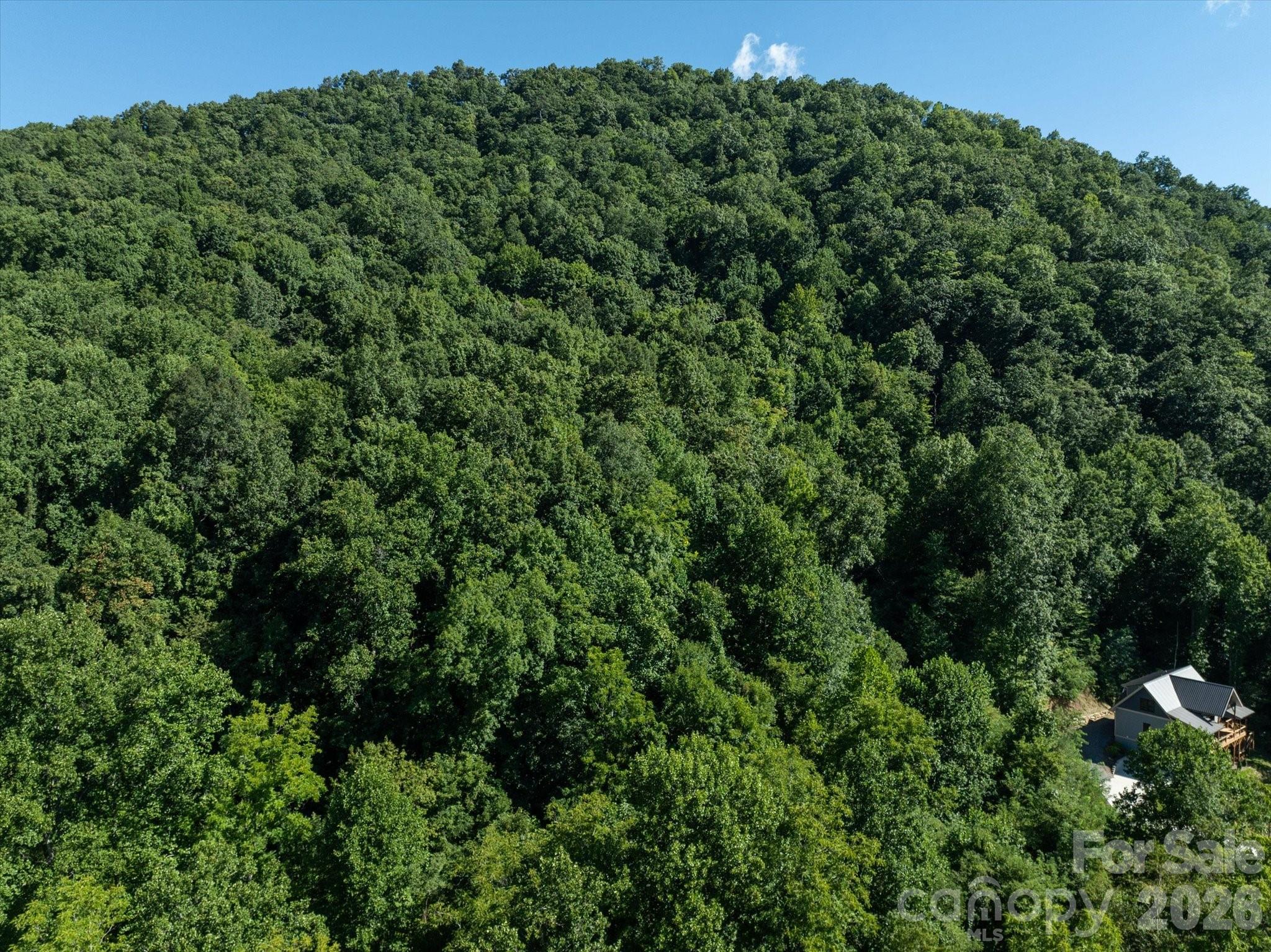 99999 Spy Rock Road Property Photo 20