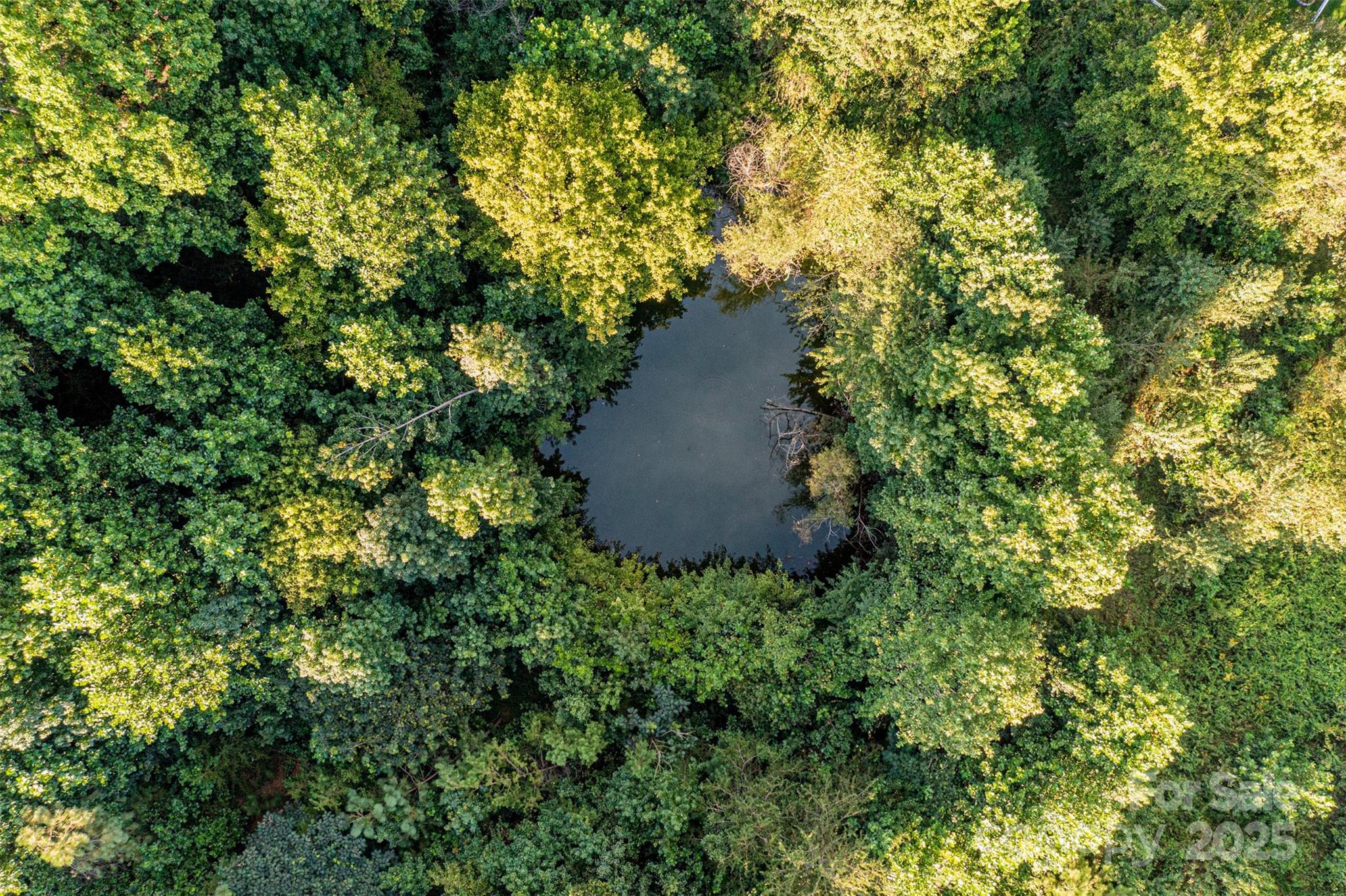 0000 Dry Ponds Road Property Photo 13