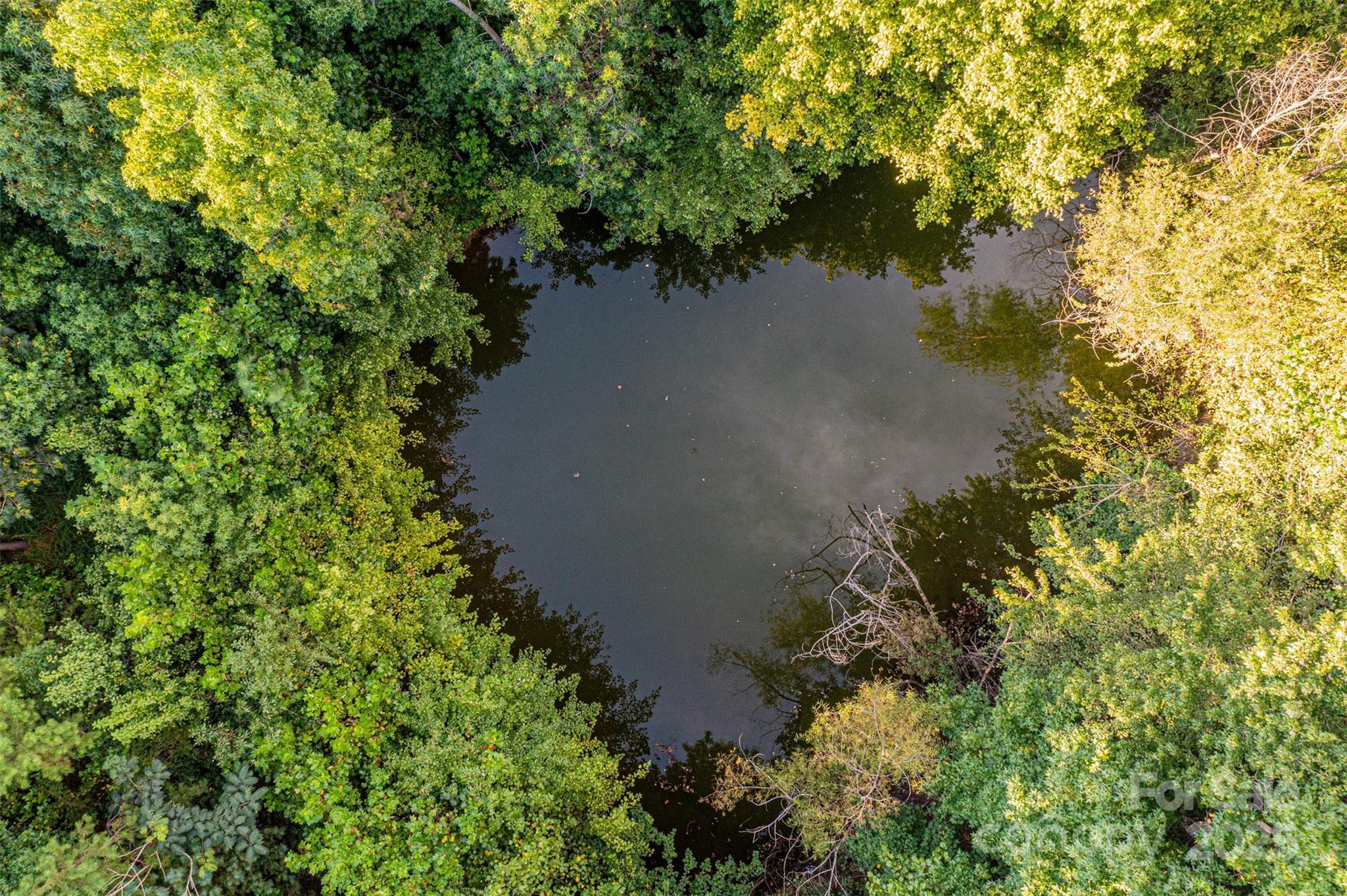 0000 Dry Ponds Road Property Photo 14