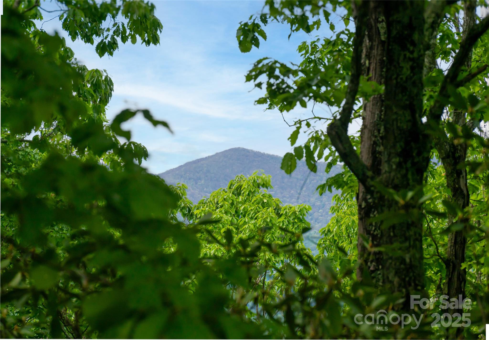 1111 Elm Tree Lane Property Photo 1