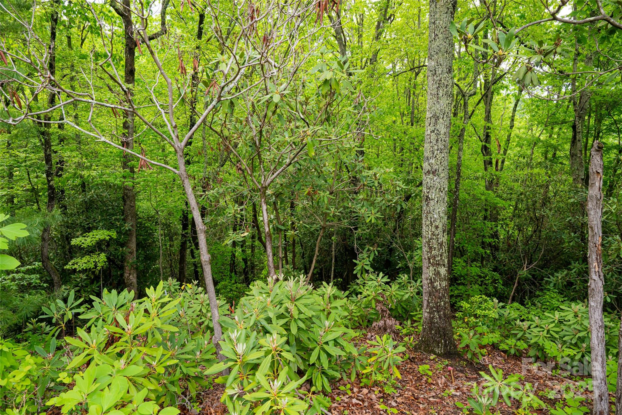 1111 Elm Tree Lane Property Photo 4