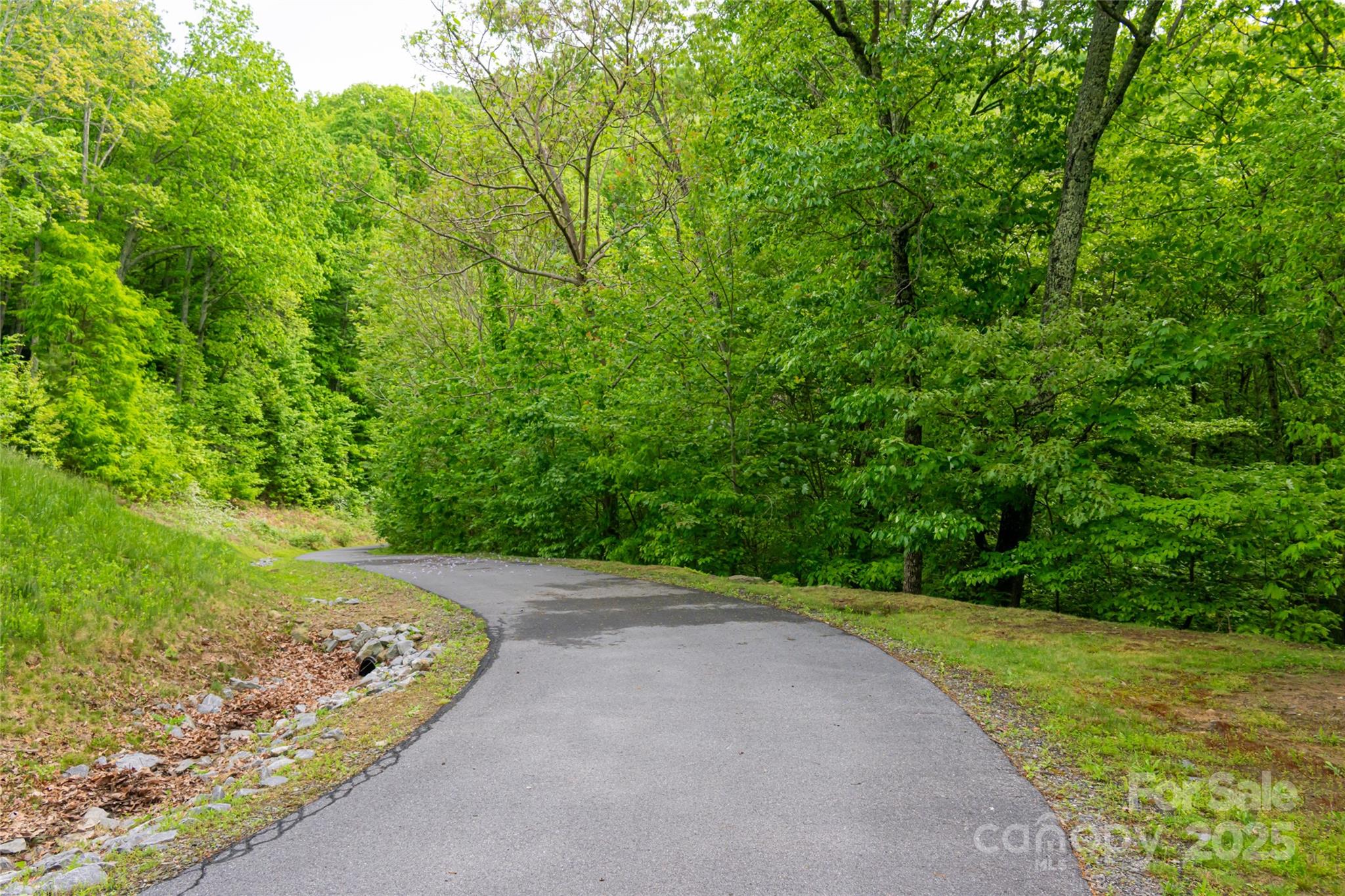 1111 Elm Tree Lane Property Photo 7