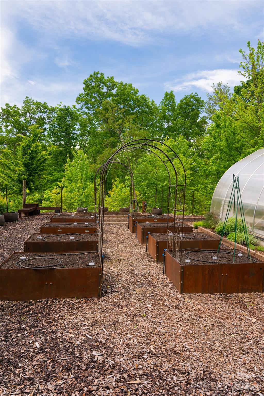 1111 Elm Tree Lane Property Photo 13