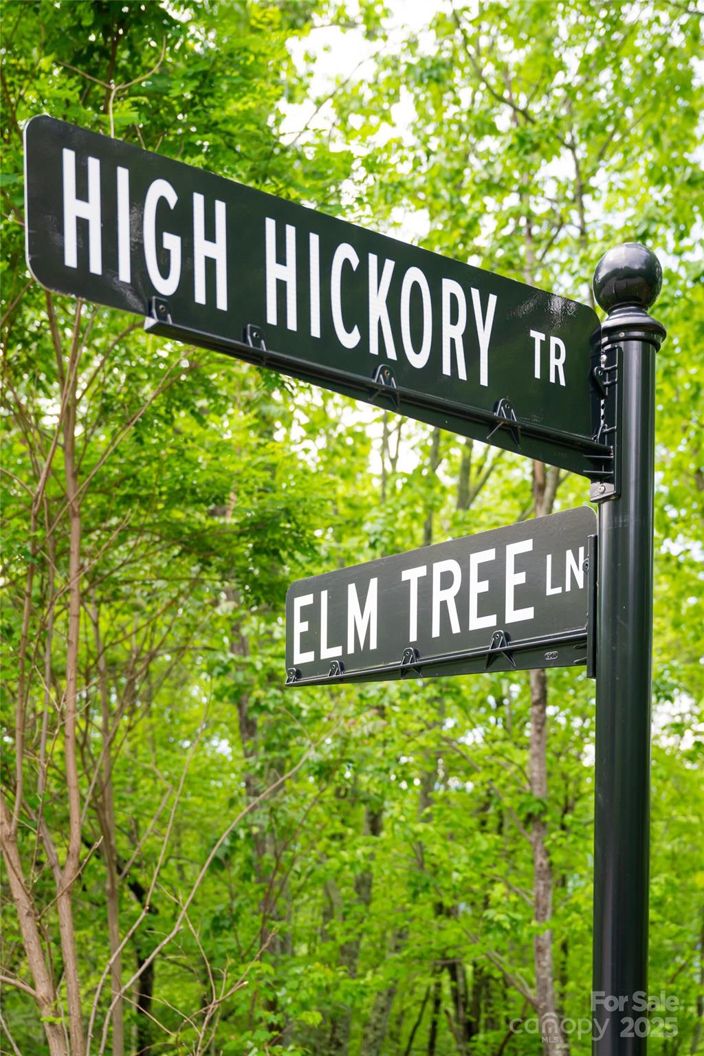 1111 Elm Tree Lane Property Photo 14