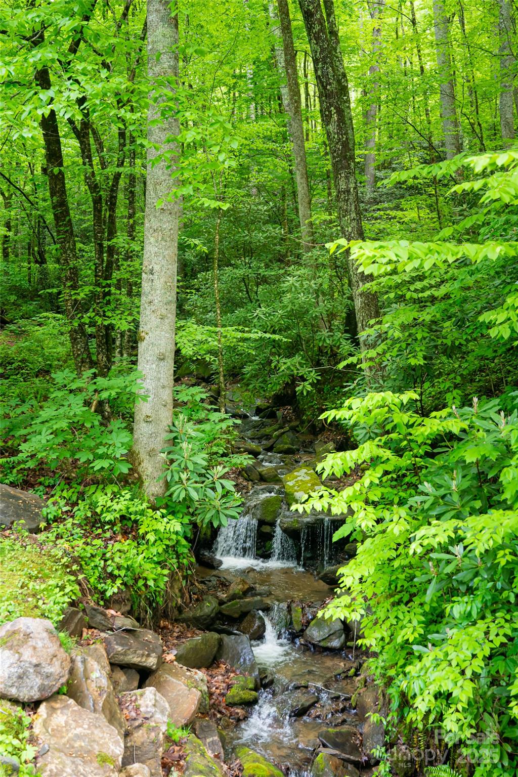 1111 Elm Tree Lane Property Photo 15