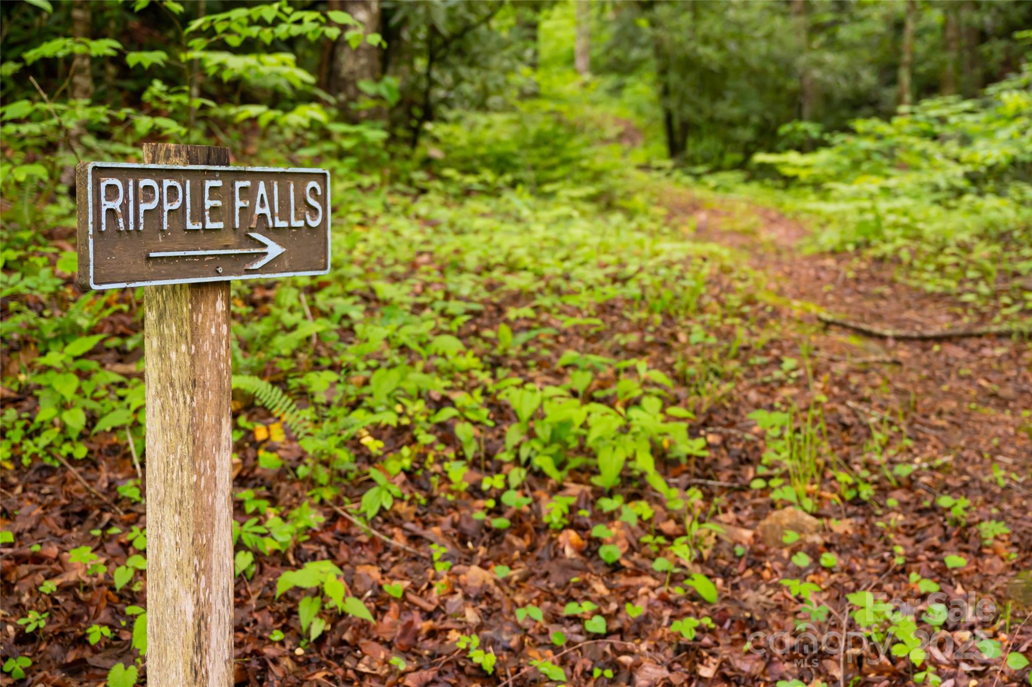 1111 Elm Tree Lane Property Photo 16