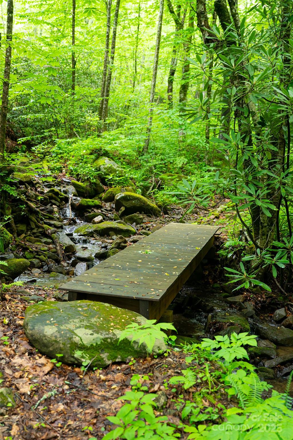 1111 Elm Tree Lane Property Photo 17