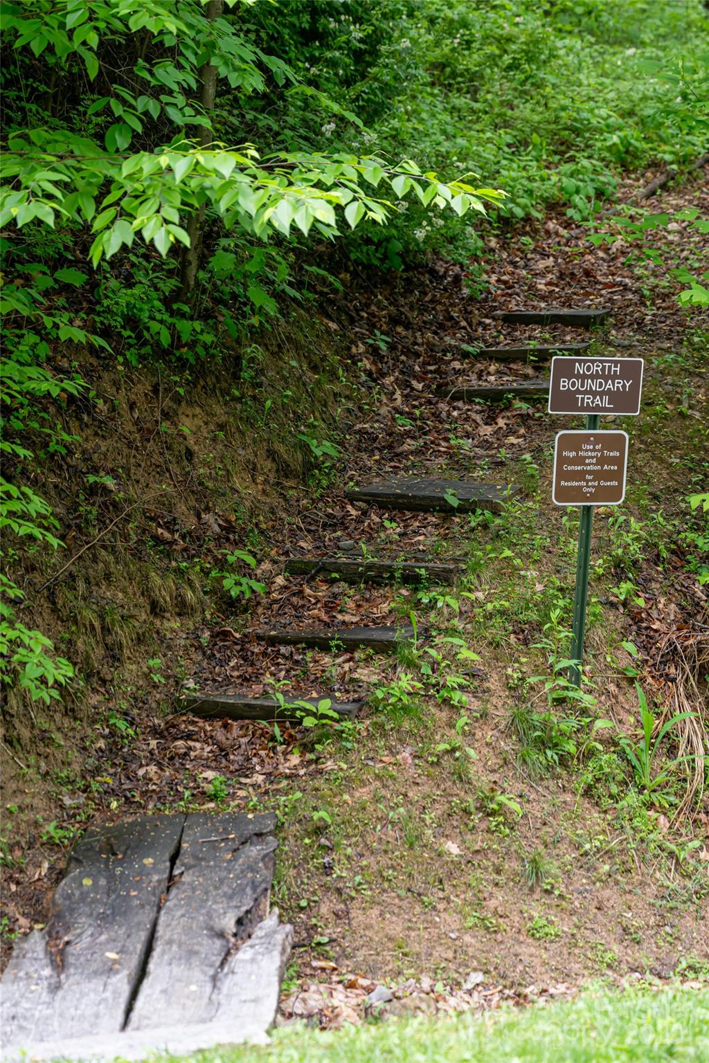 1111 Elm Tree Lane Property Photo 18