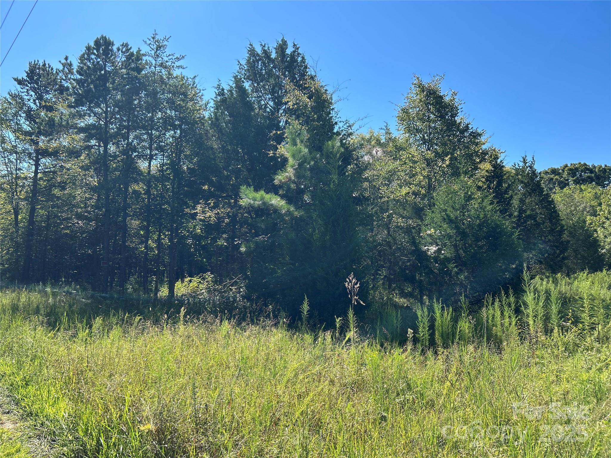 200 Bramblewood Lane Property Photo 3
