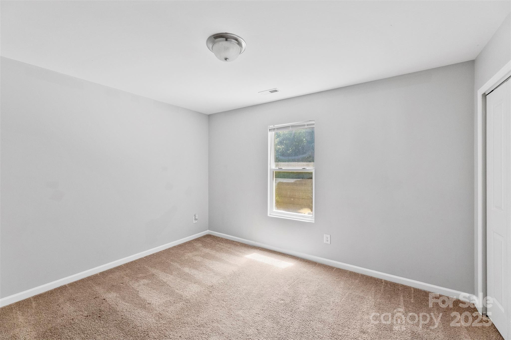 2415 Cairns Mill Court Property Photo 19