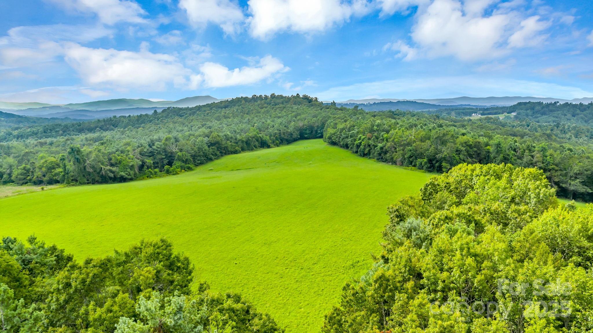 Tbd Murphy Bend Road Property Photo 1