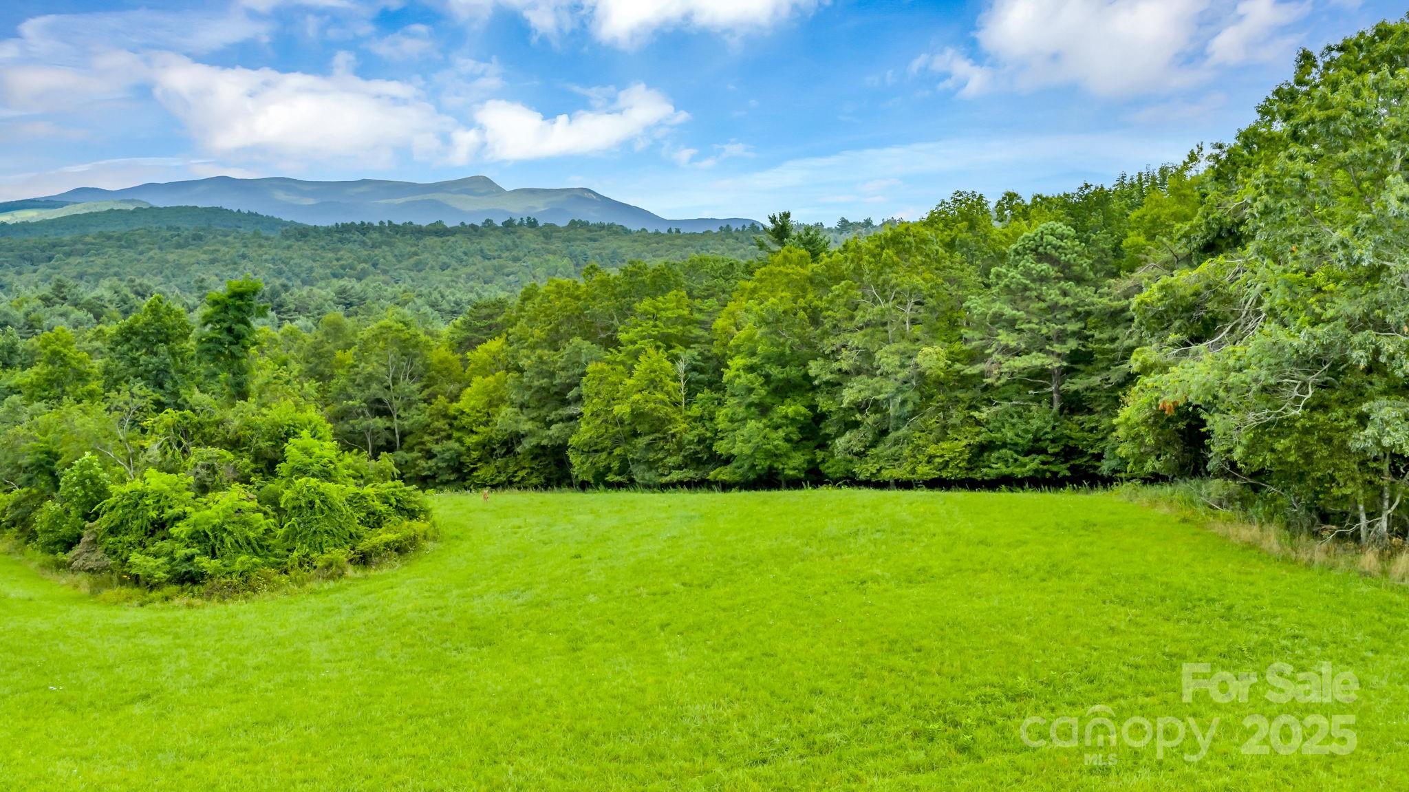 Tbd Murphy Bend Road Property Photo 4