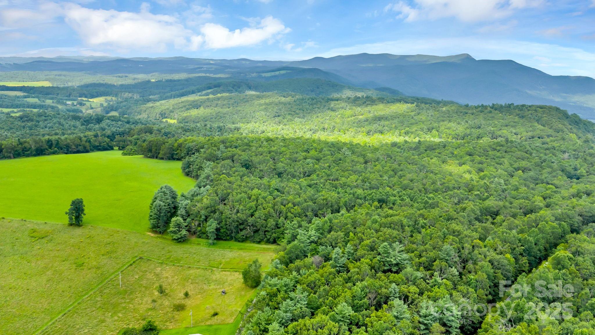 Tbd Murphy Bend Road Property Photo 8