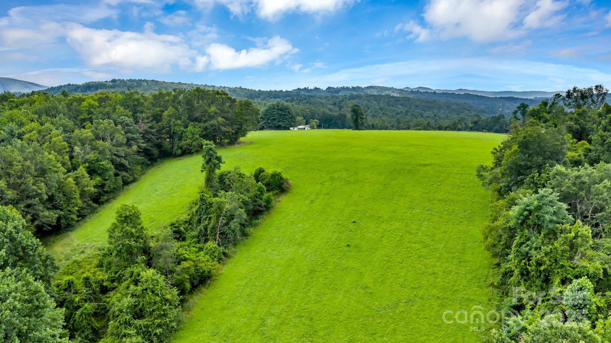 Tbd Murphy Bend Road Property Photo 9