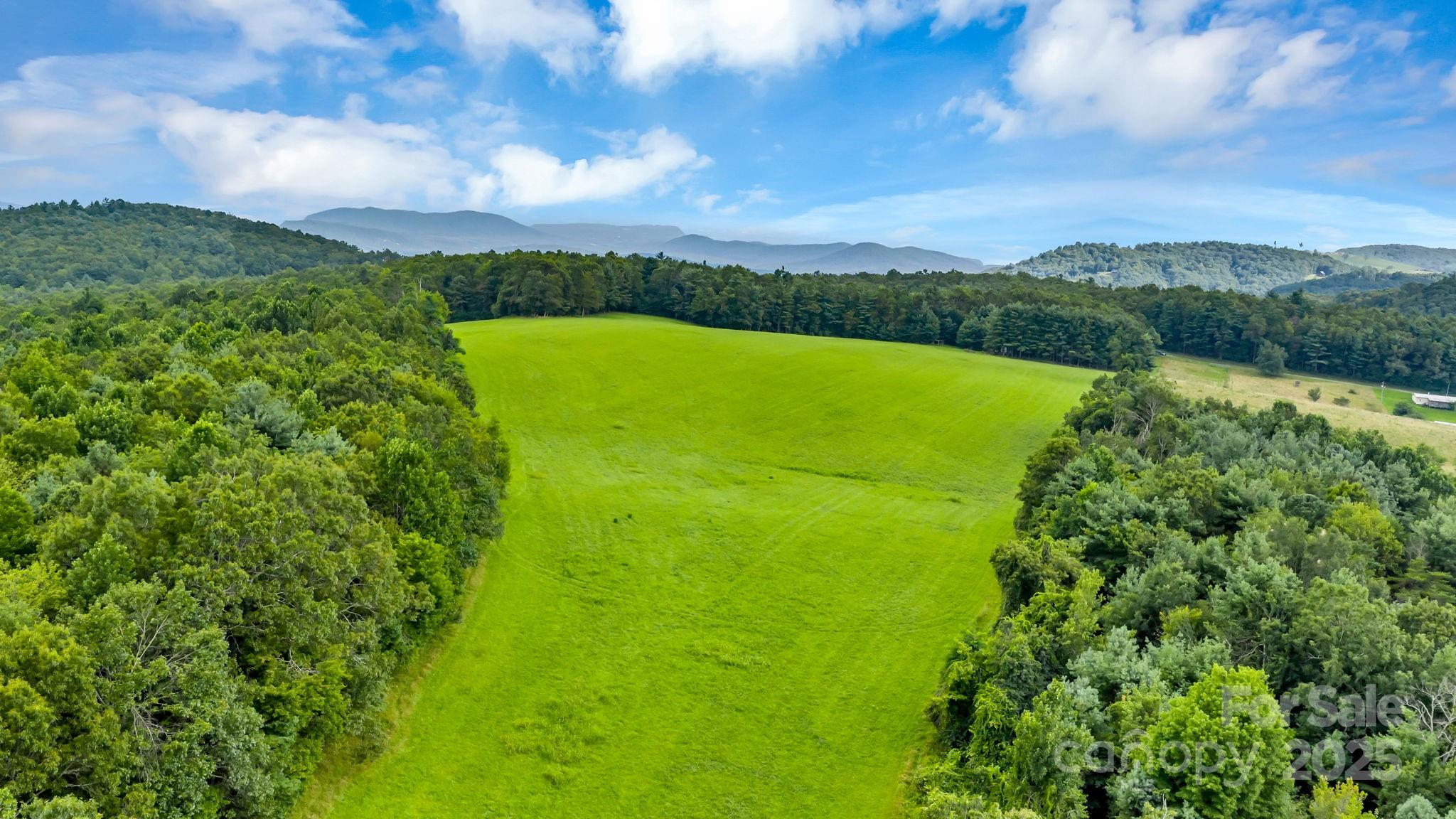 Tbd Murphy Bend Road Property Photo 14