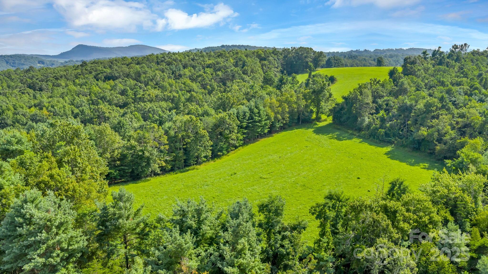 Tbd Murphy Bend Road Property Photo 15