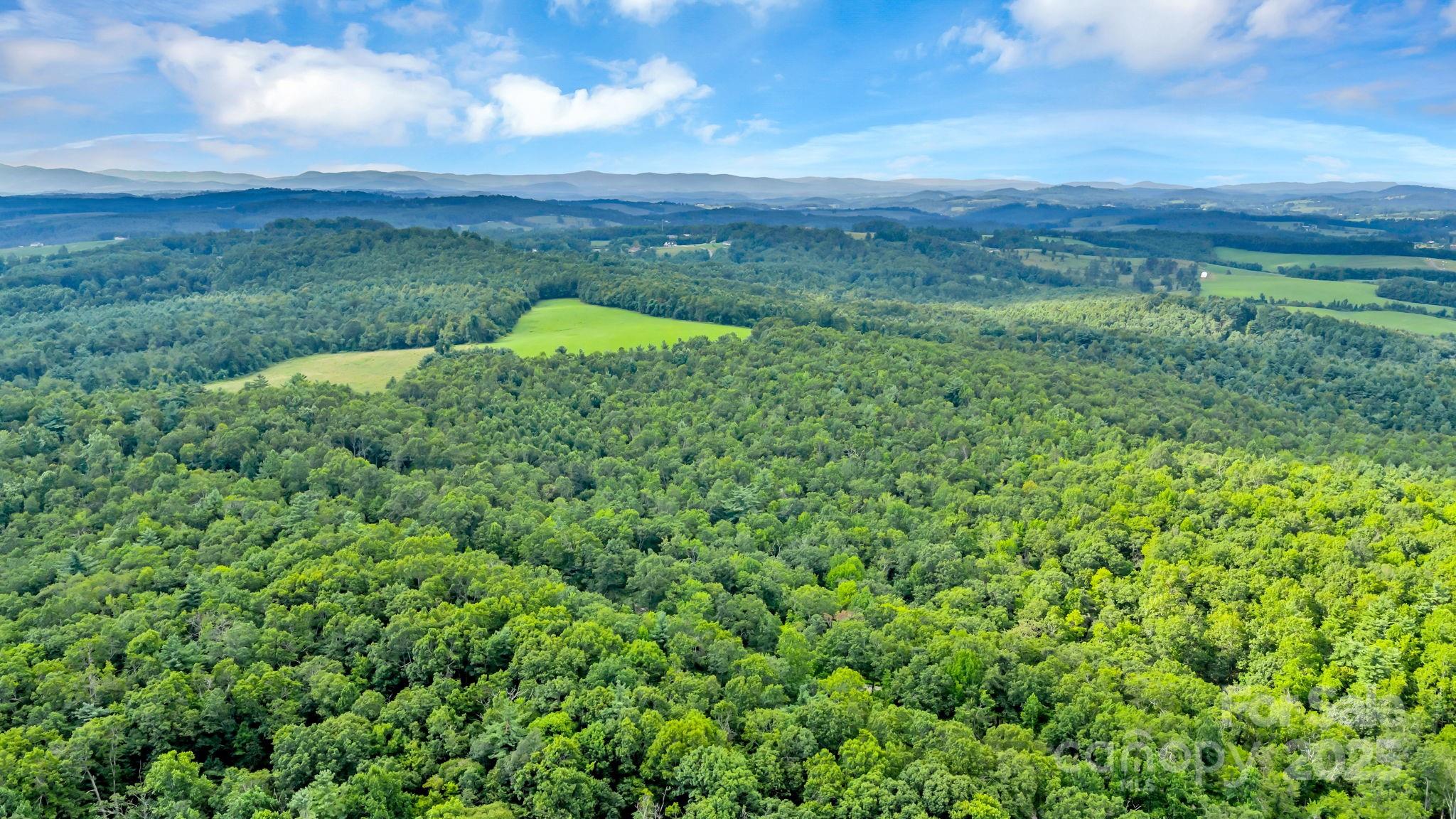 Tbd Murphy Bend Road Property Photo 18