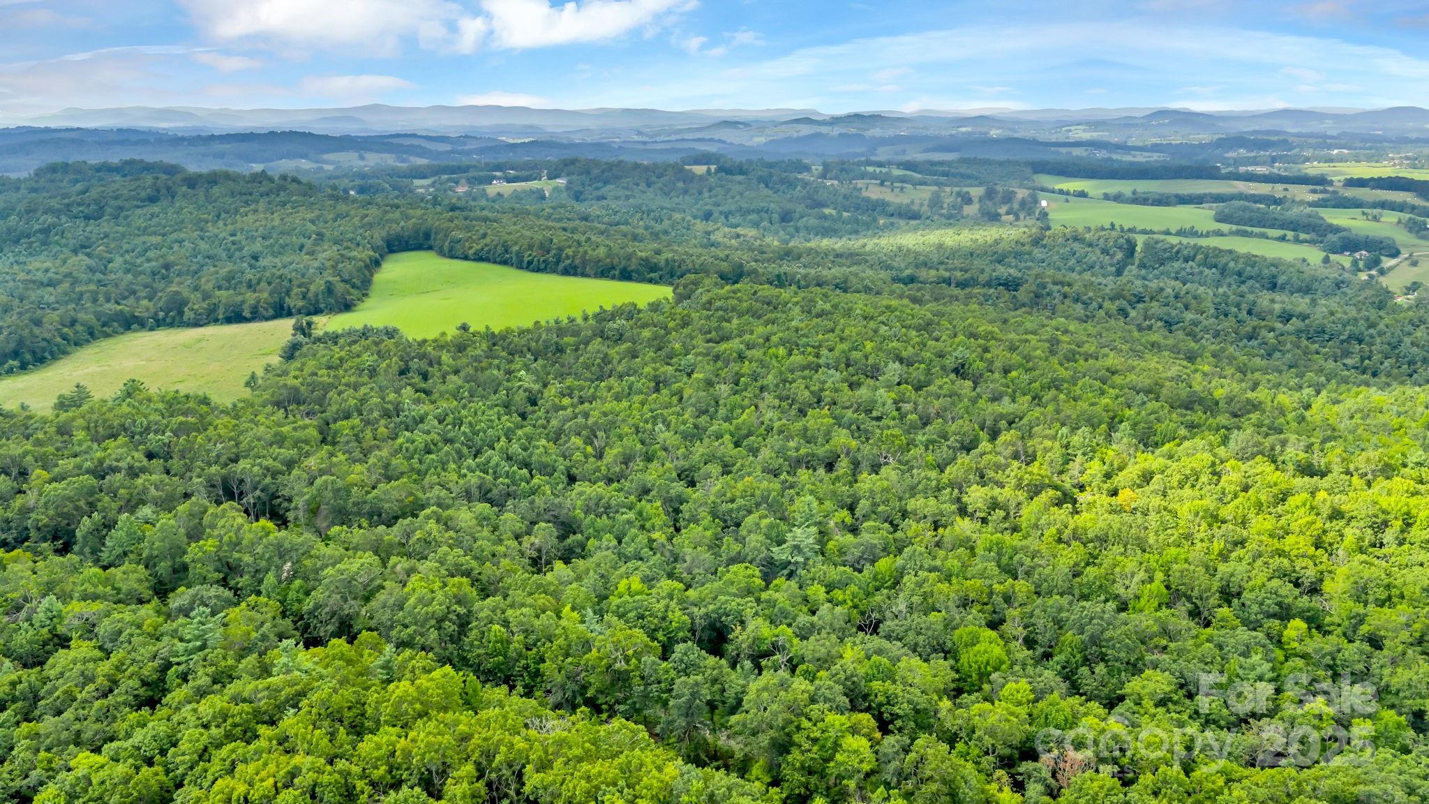 Tbd Murphy Bend Road Property Photo 23