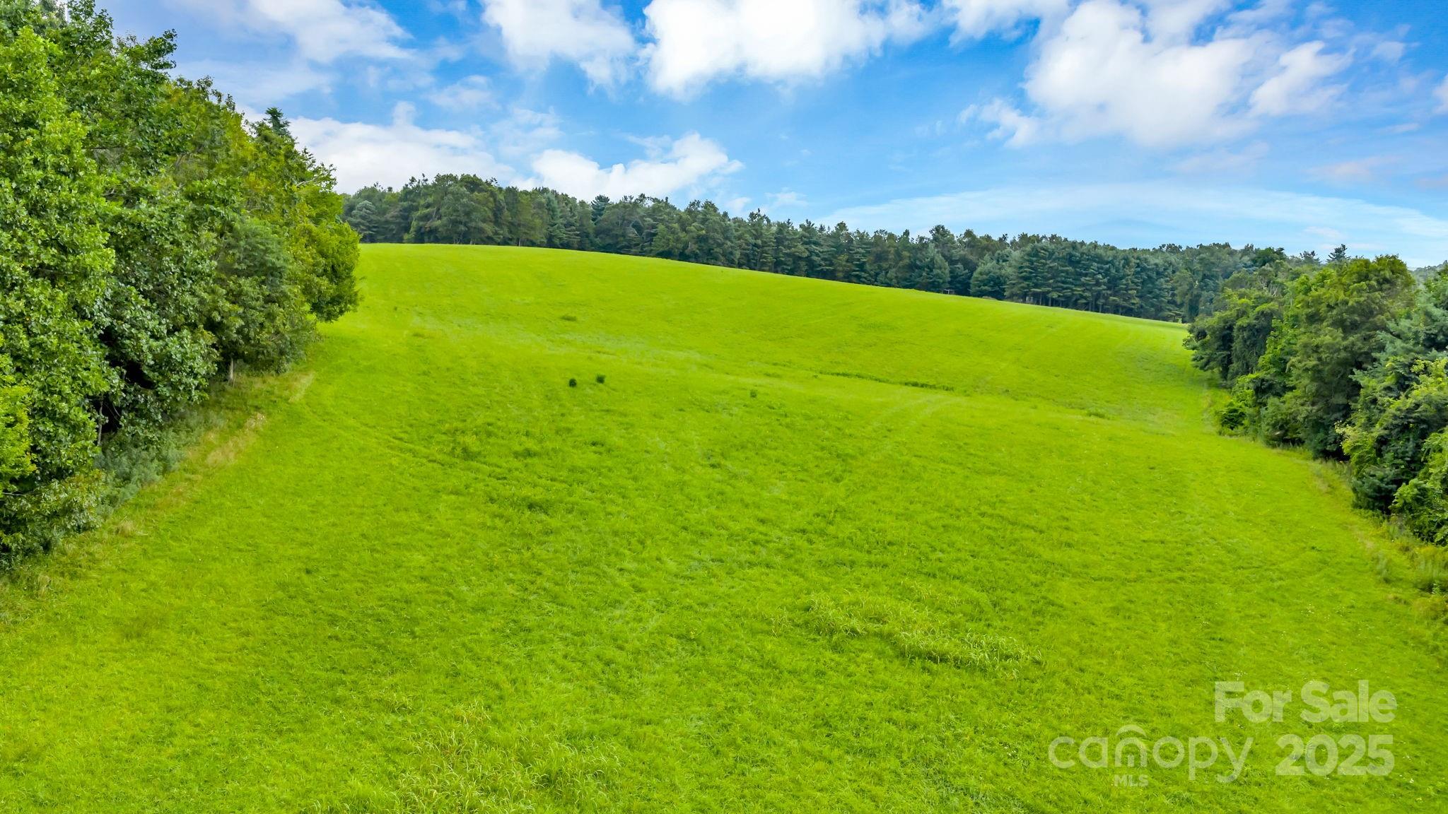 Tbd Murphy Bend Road Property Photo 26