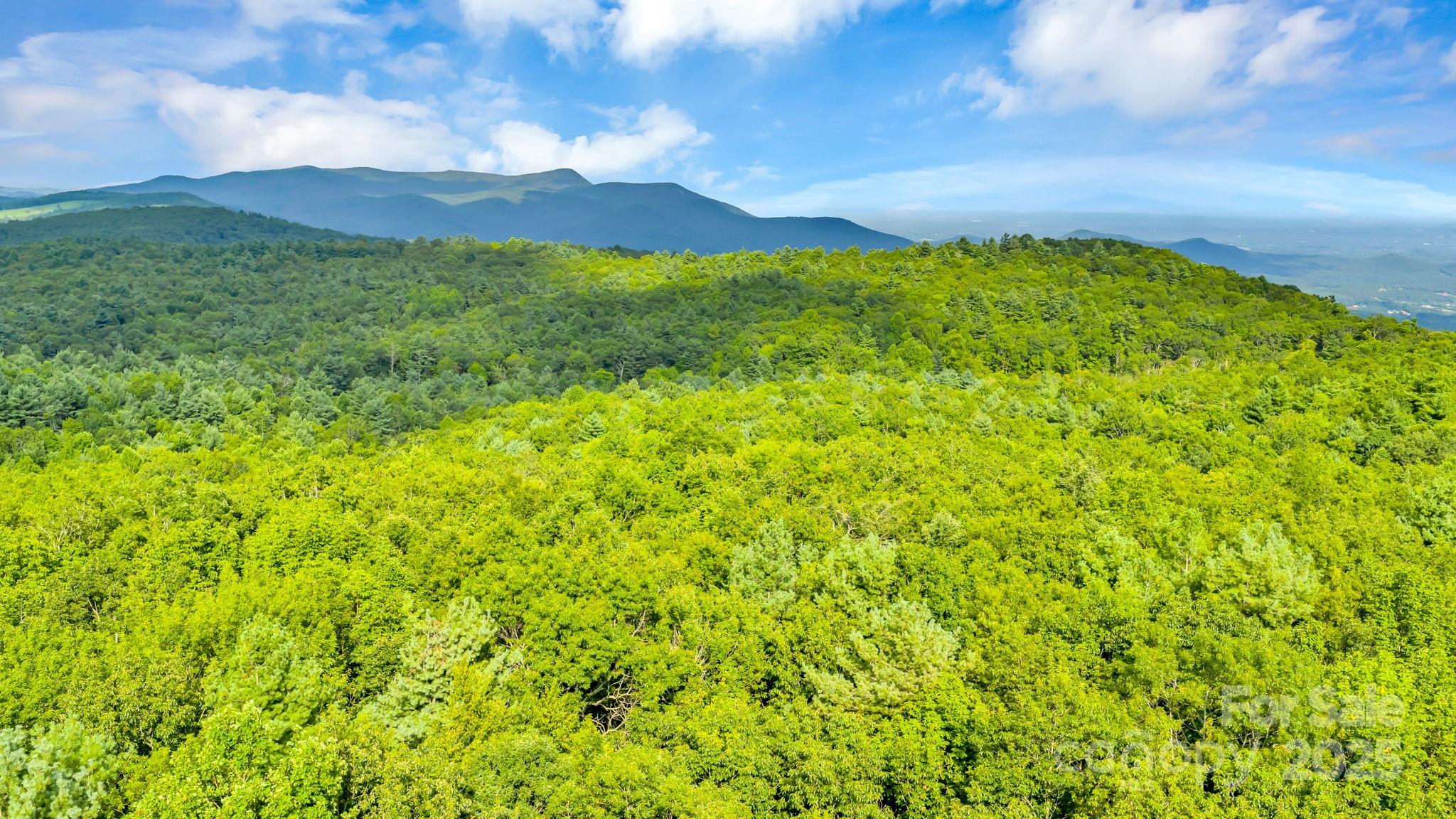 Tbd Murphy Bend Road Property Photo 29