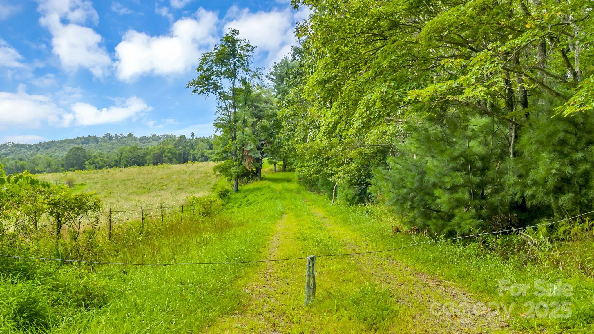 Tbd Murphy Bend Road Property Photo 33