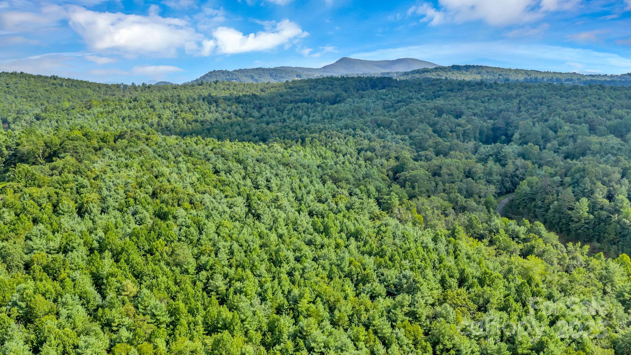 Tbd Murphy Bend Road Property Photo 34