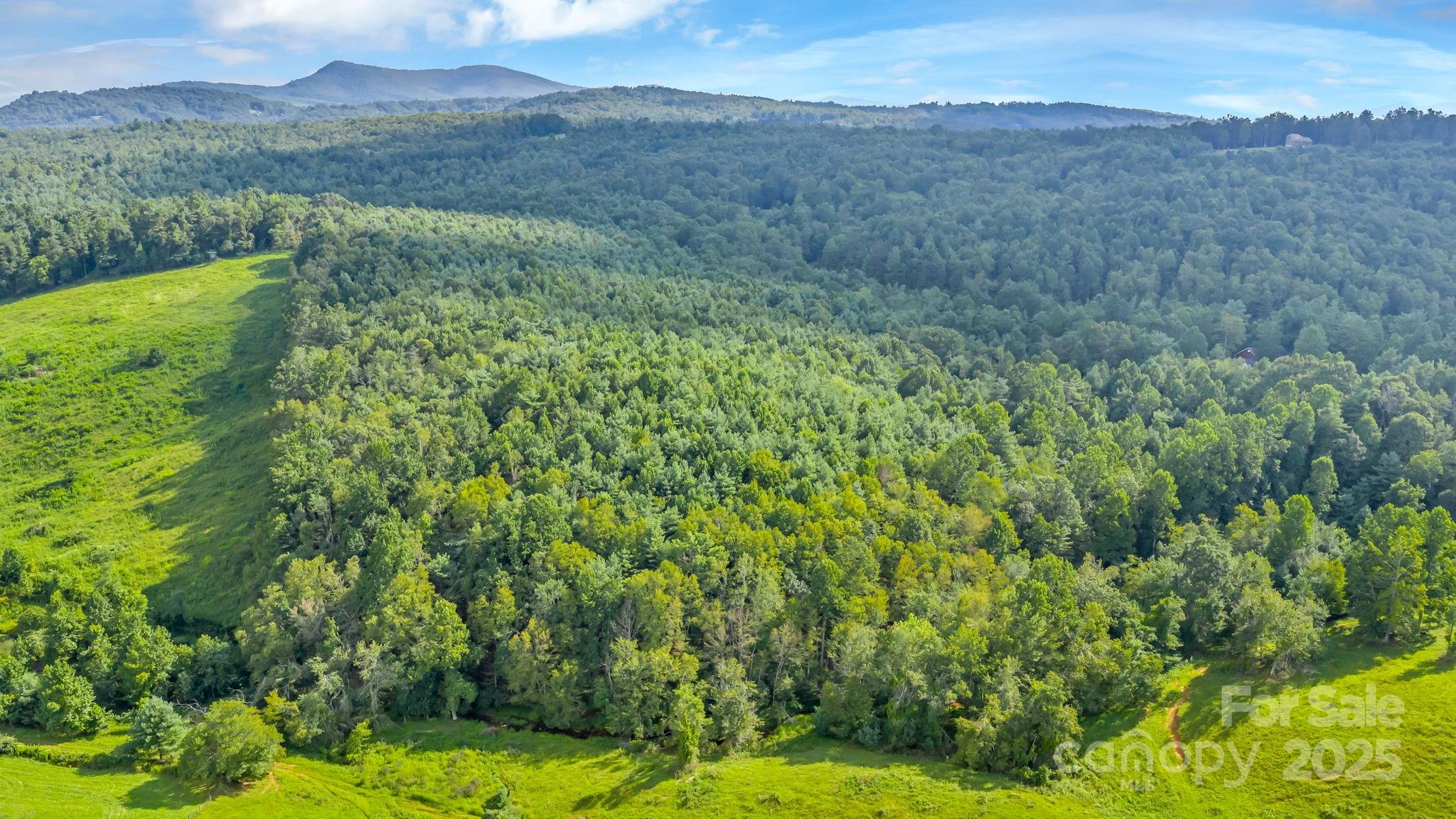 Tbd Murphy Bend Road Property Photo 37