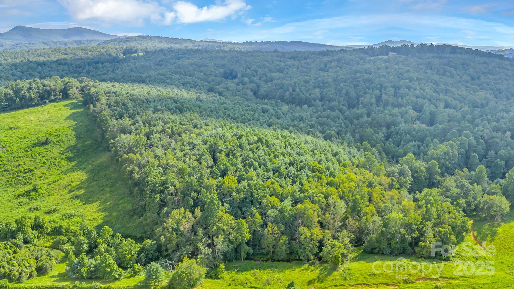 Tbd Murphy Bend Road Property Photo 38