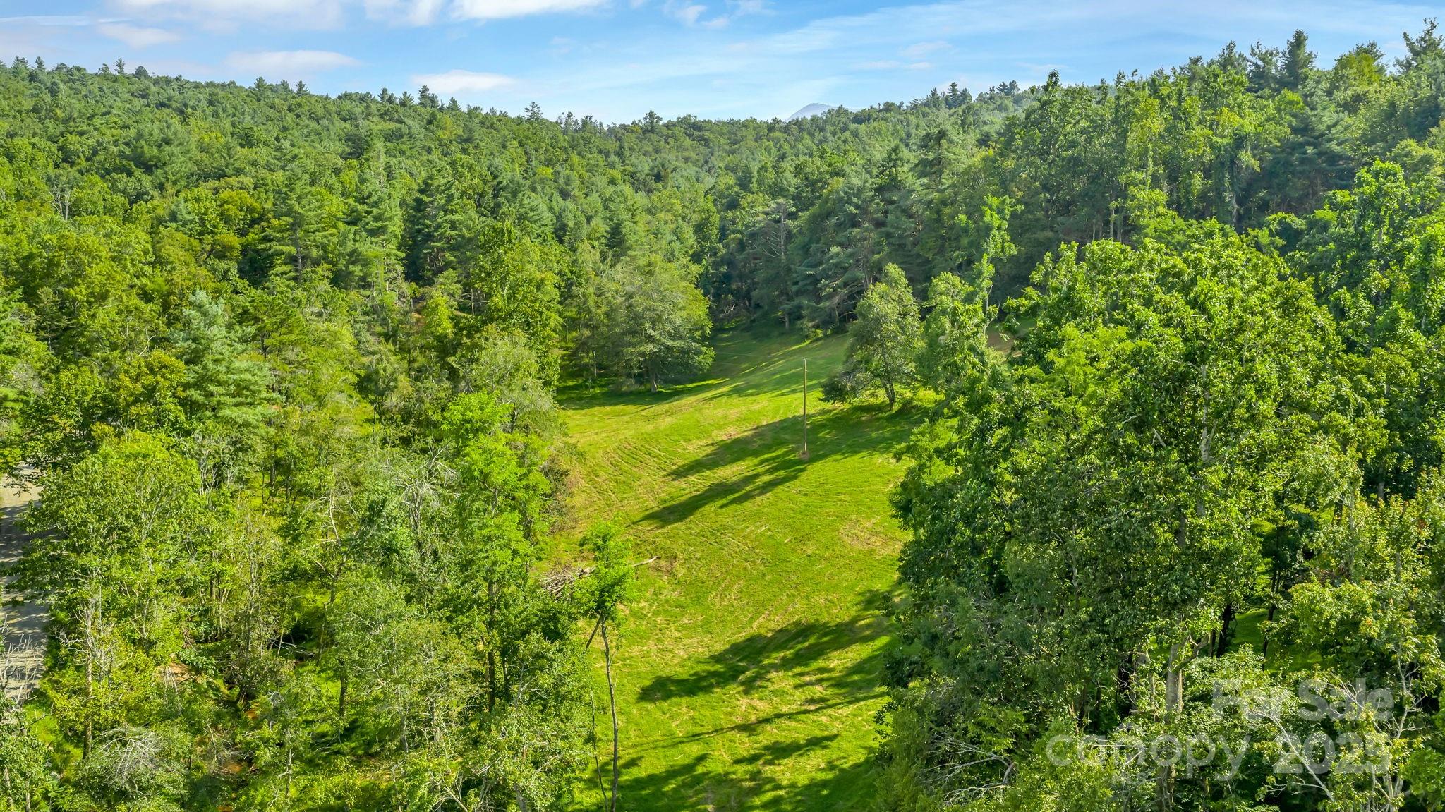 Tbd Murphy Bend Road Property Photo 40
