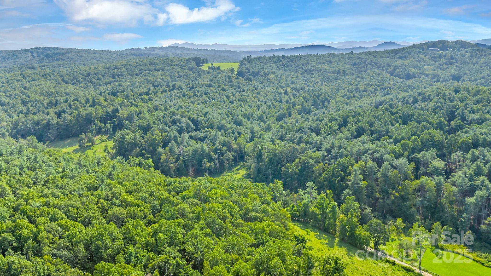 Tbd Murphy Bend Road Property Photo 46