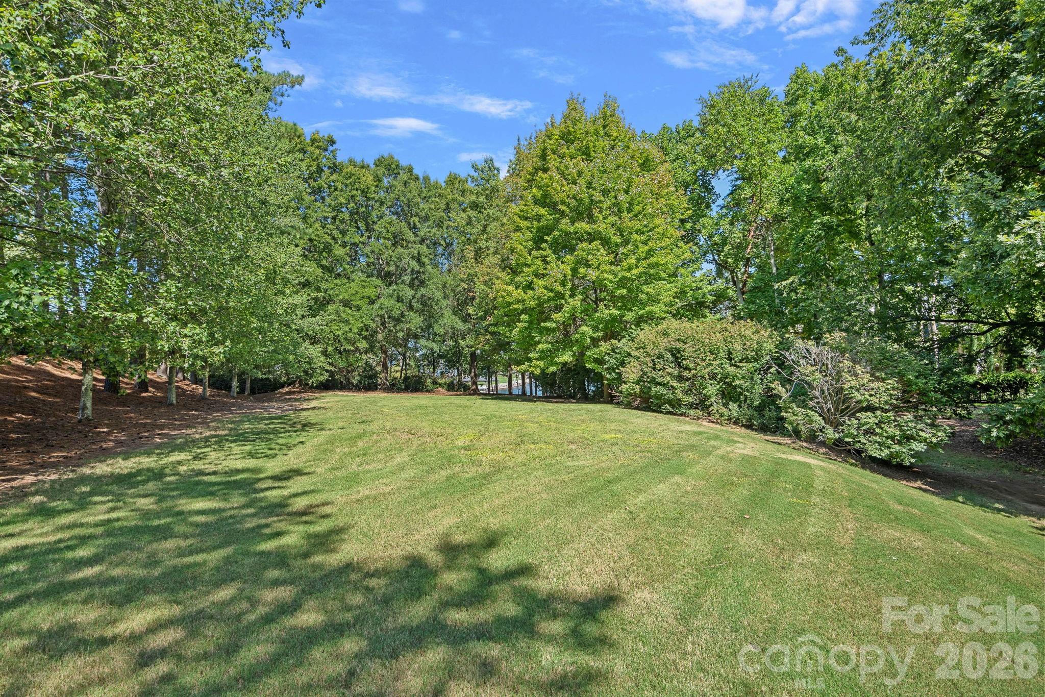 19002 Lakehouse Pointe Drive Property Photo 7