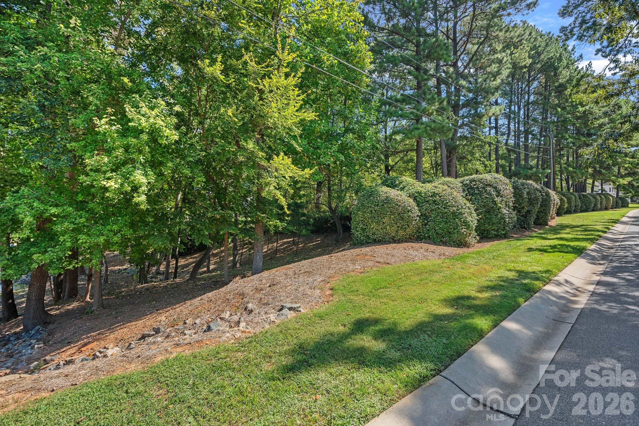 19002 Lakehouse Pointe Drive Property Photo 10