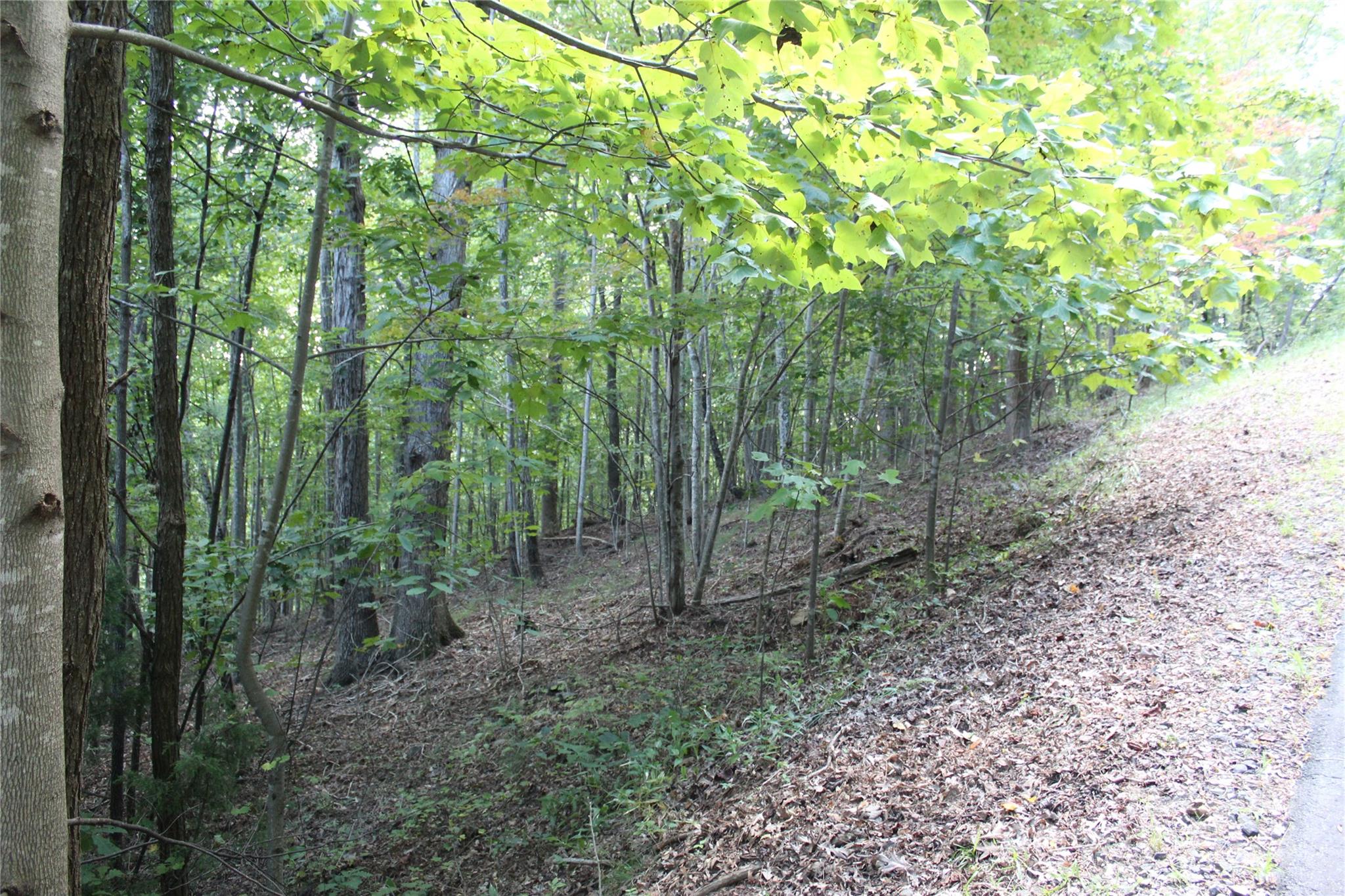 0 Azule Ridge Drive Property Photo 1