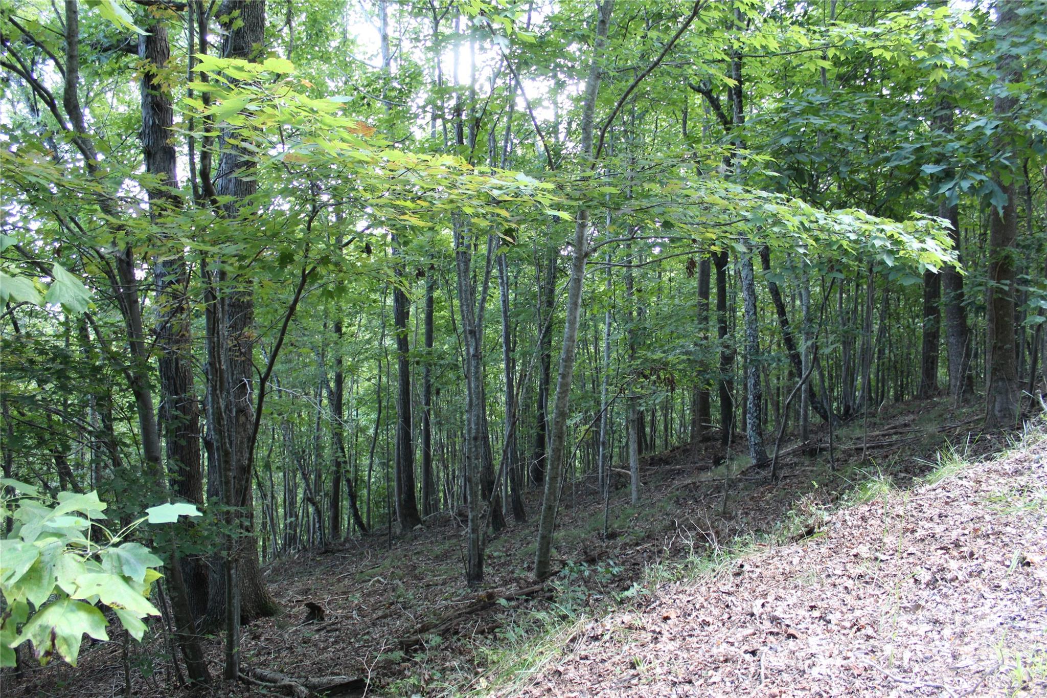 0 Azule Ridge Drive Property Photo 2