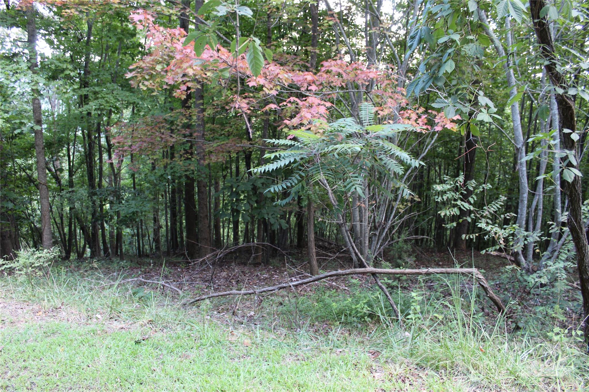 0 Azule Ridge Drive Property Photo 3