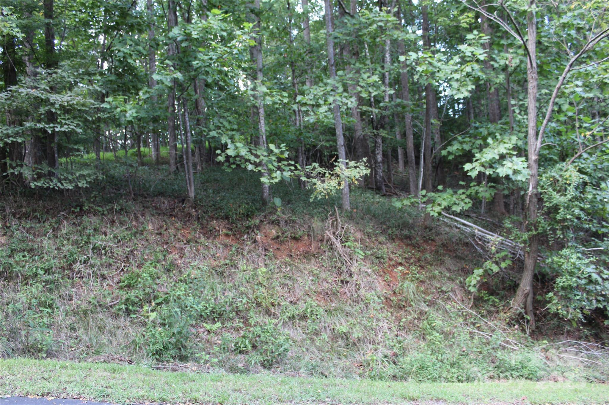 0 Azule Ridge Drive Property Photo 4