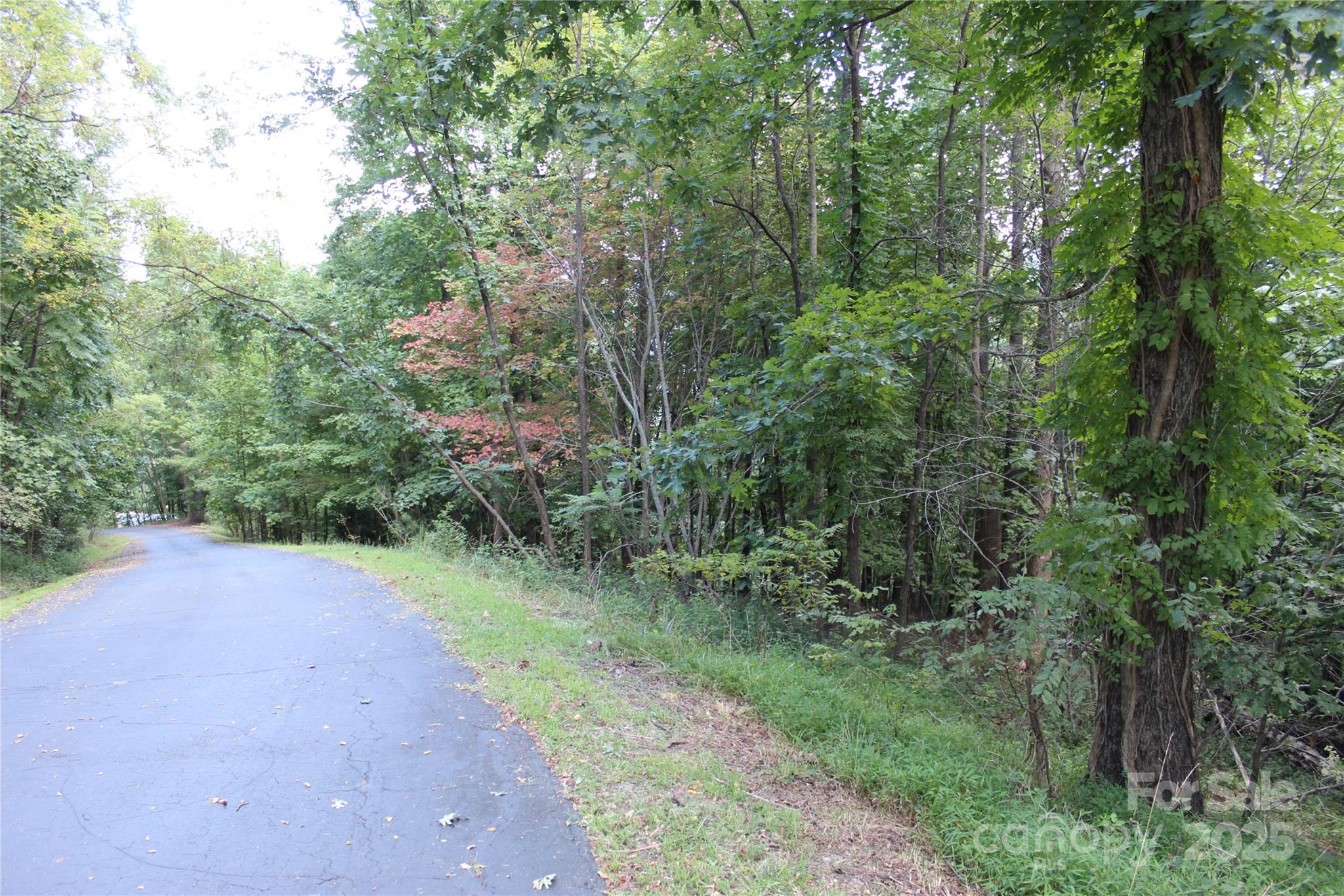 0 Azule Ridge Drive Property Photo 5