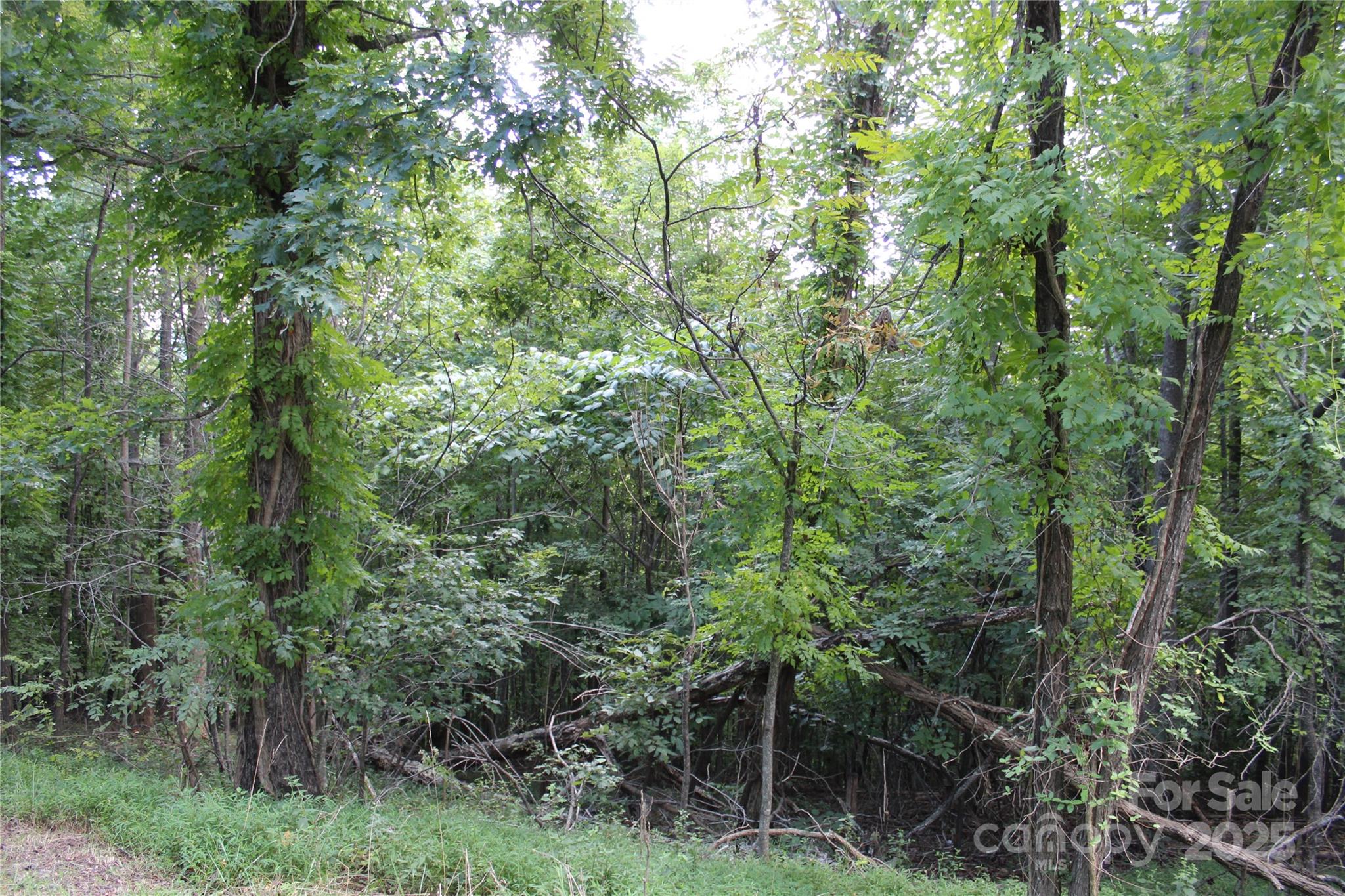 0 Azule Ridge Drive Property Photo 6