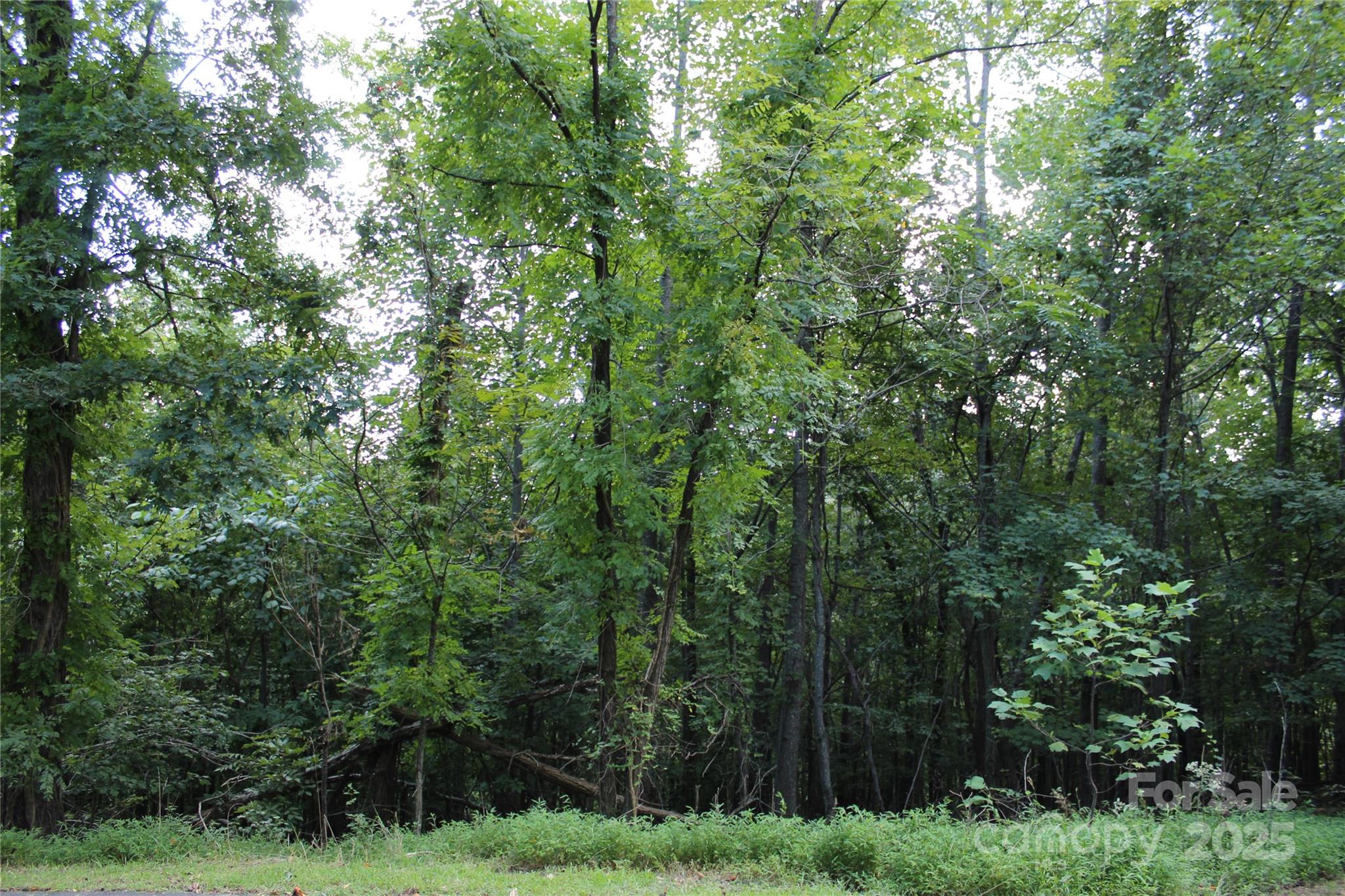 0 Azule Ridge Drive Property Photo 7