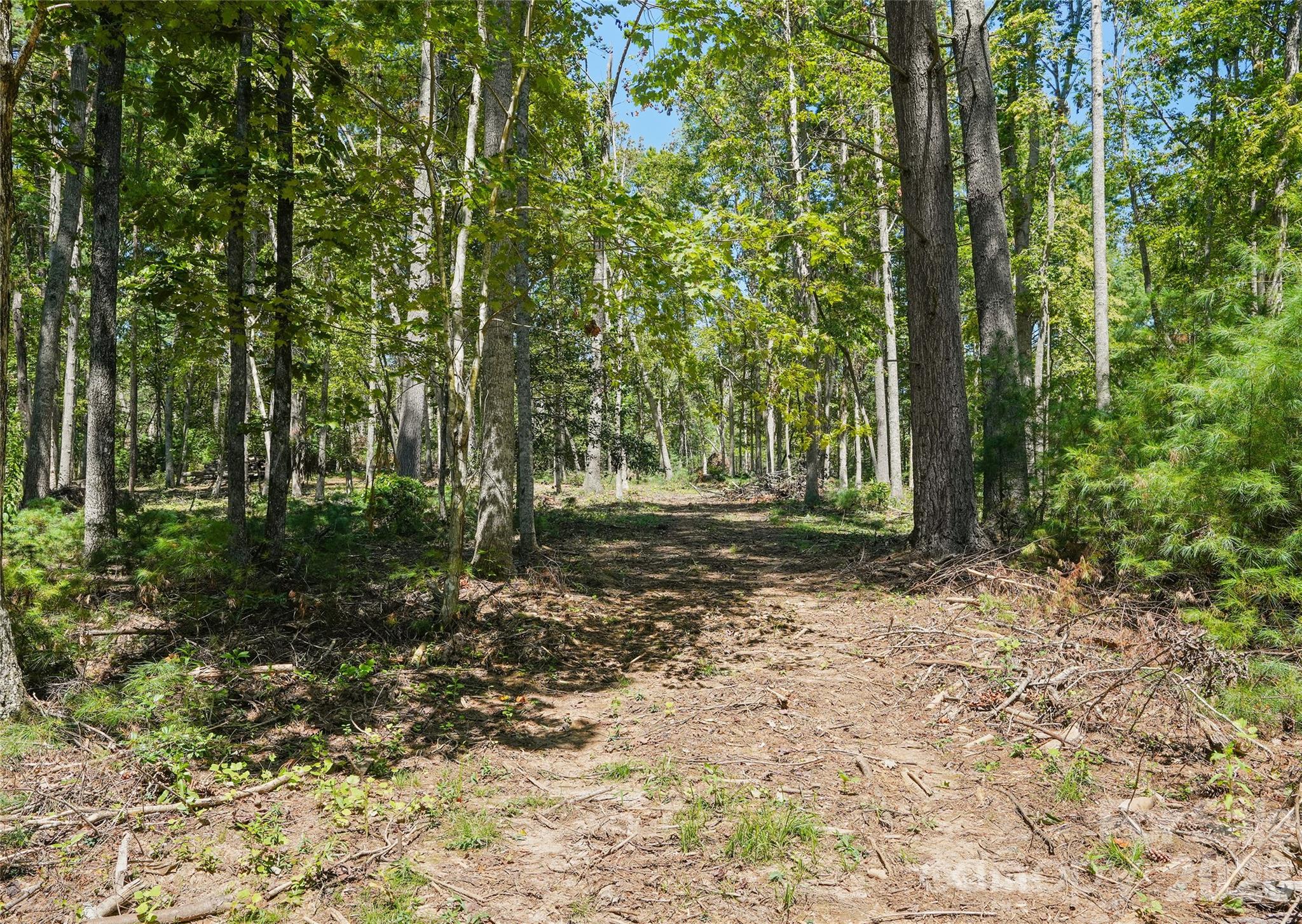 15 Mirehouse Run Property Photo 1