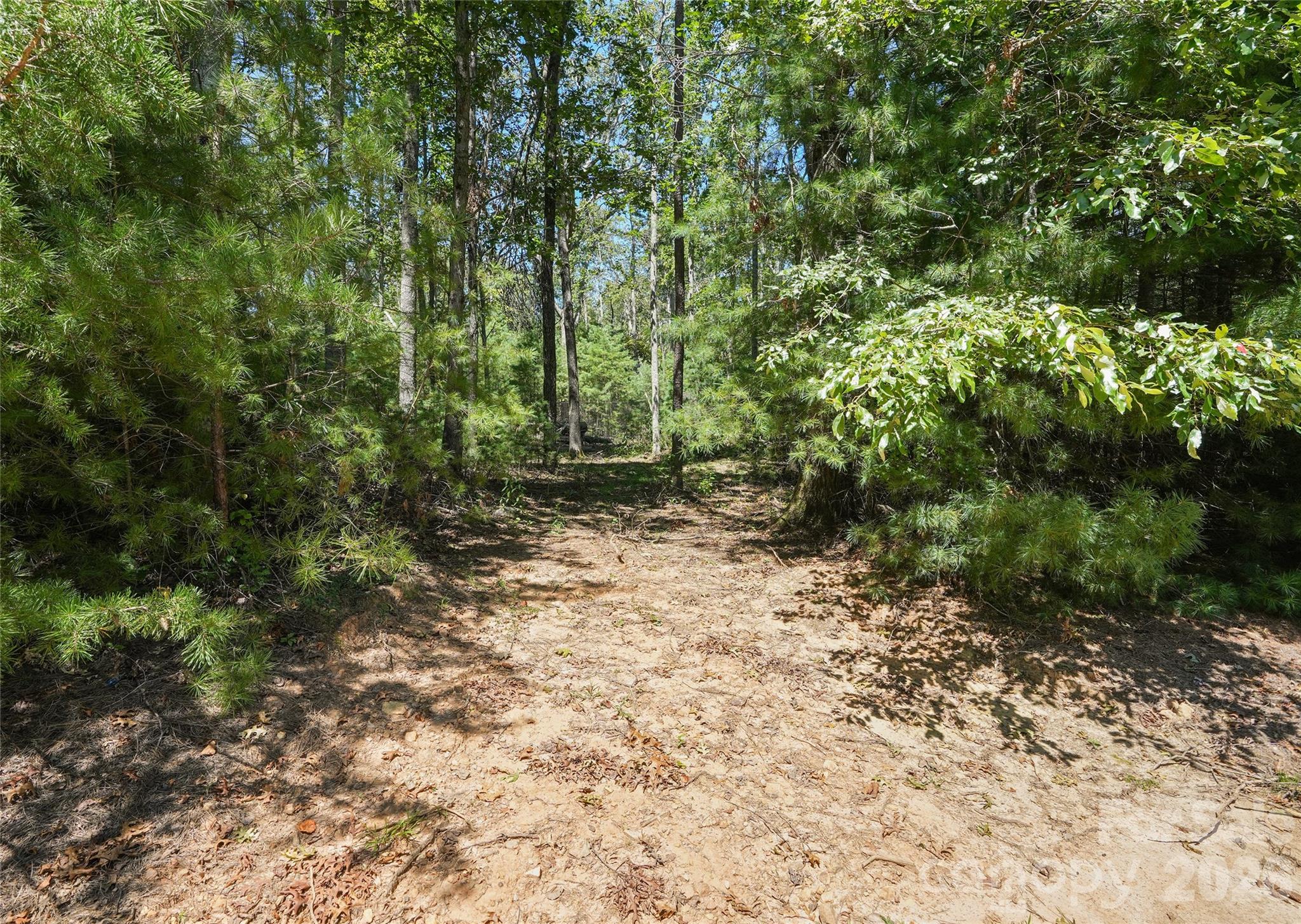 15 Mirehouse Run Property Photo 6