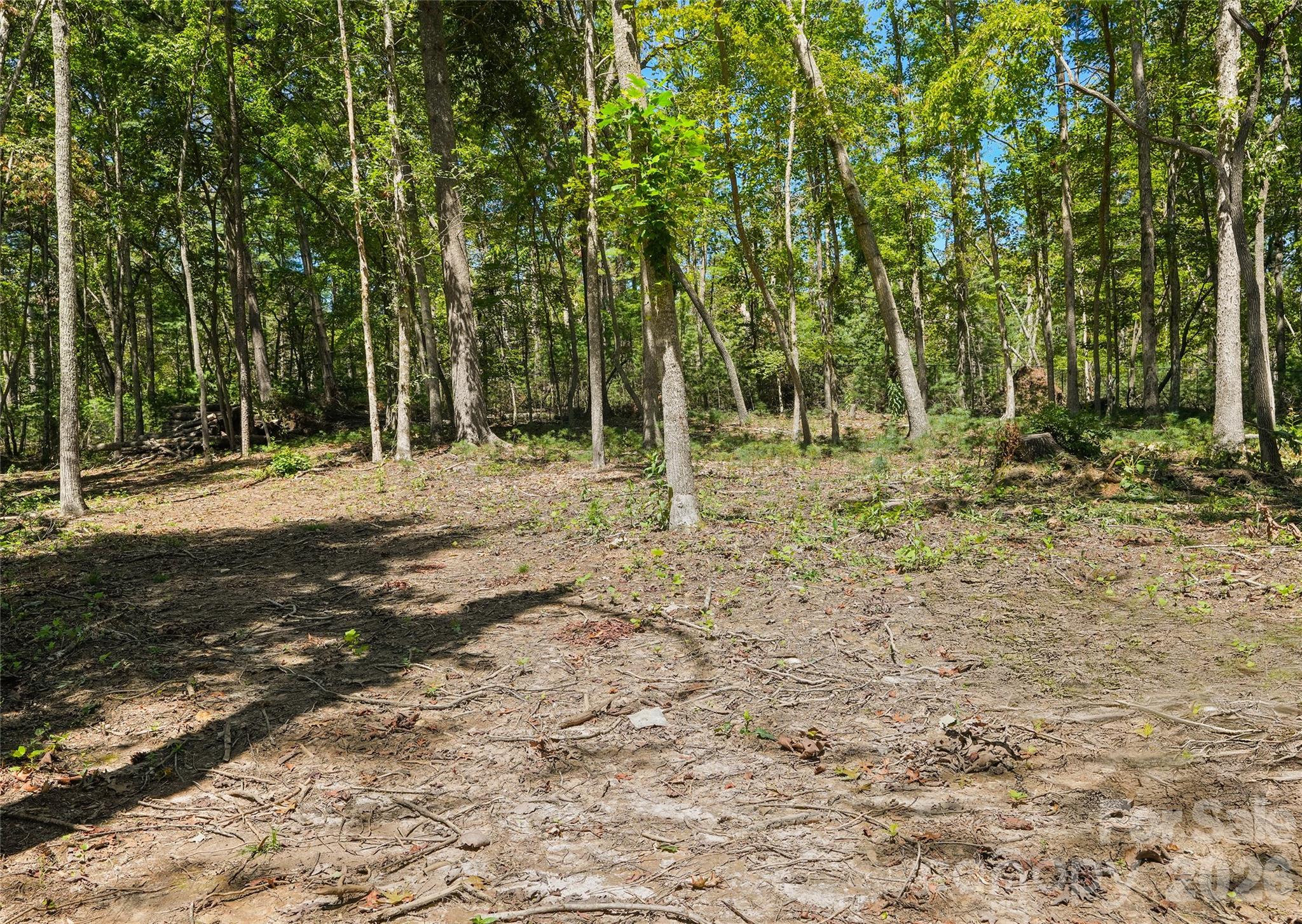15 Mirehouse Run Property Photo 7