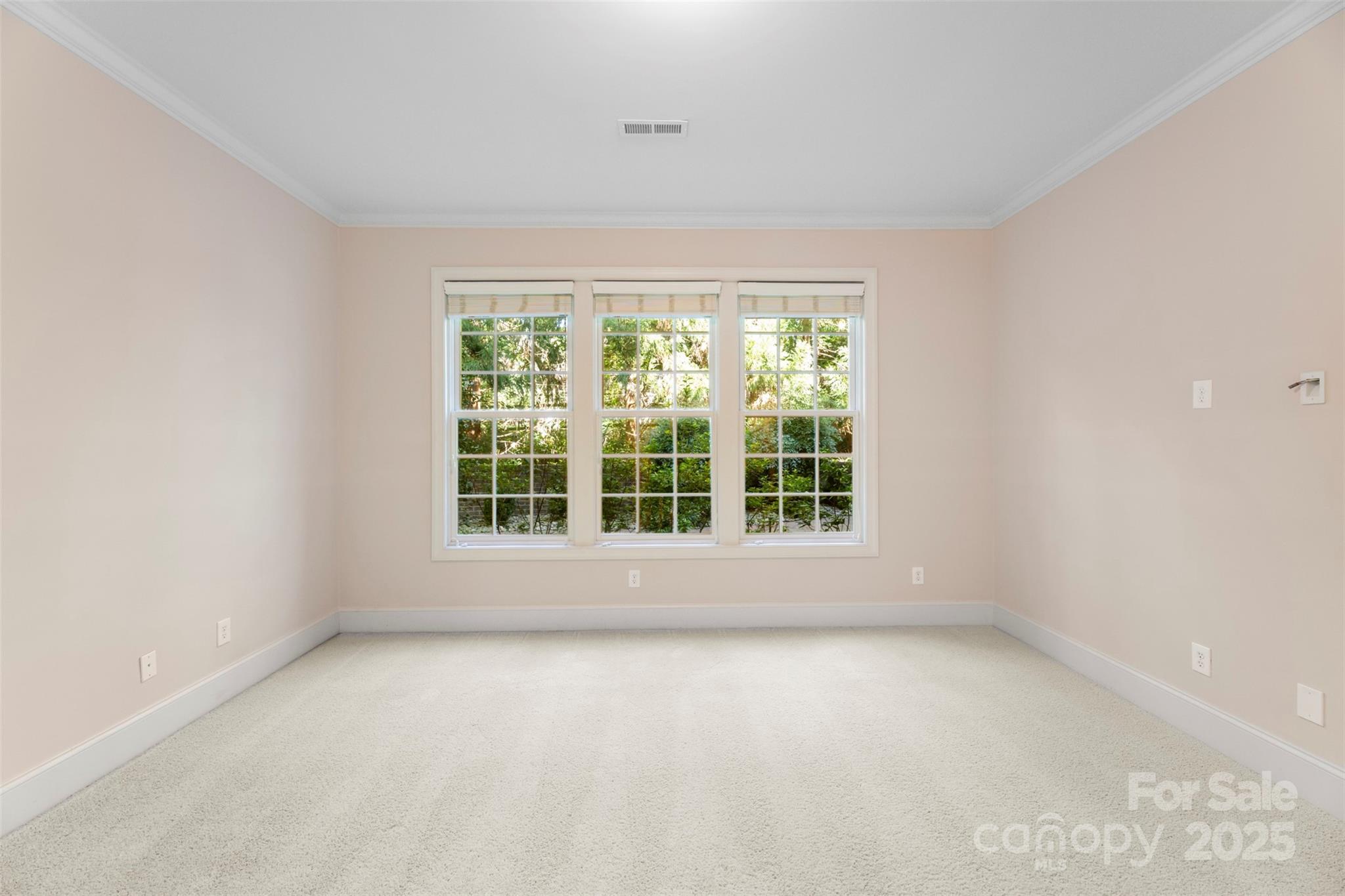 8928 Heydon Hall Circle Property Photo 31